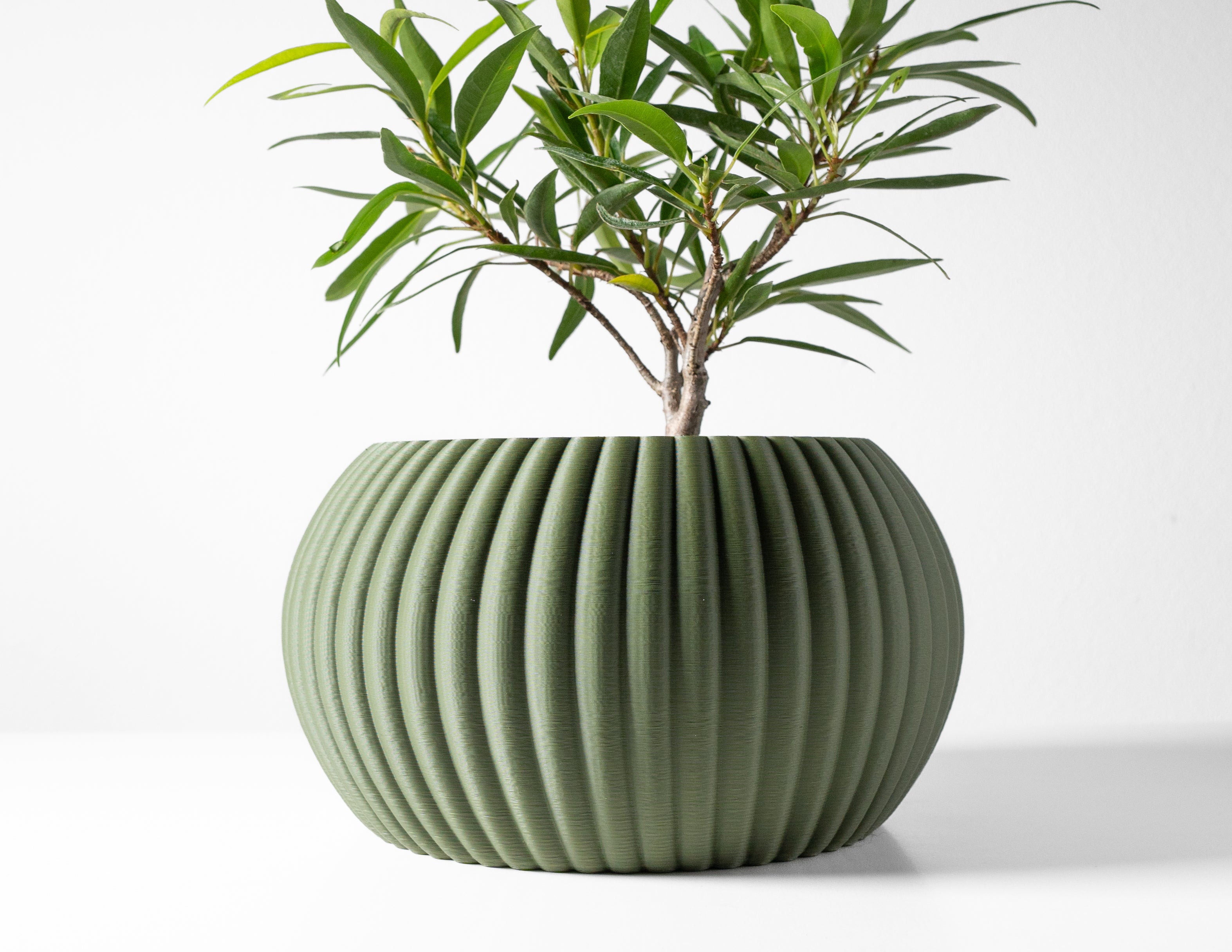 Roni Planter