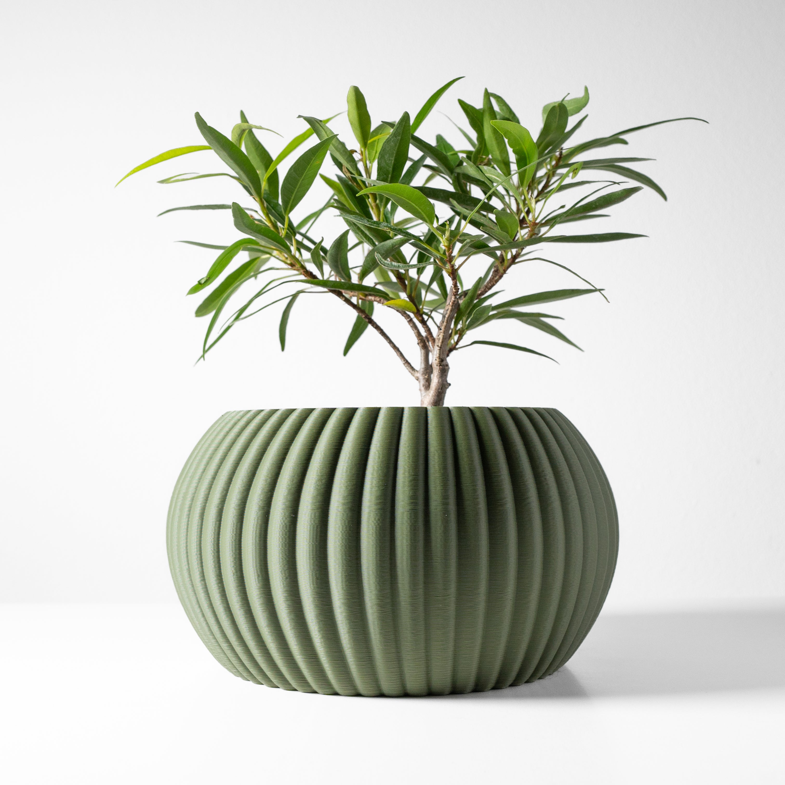 Roni Planter