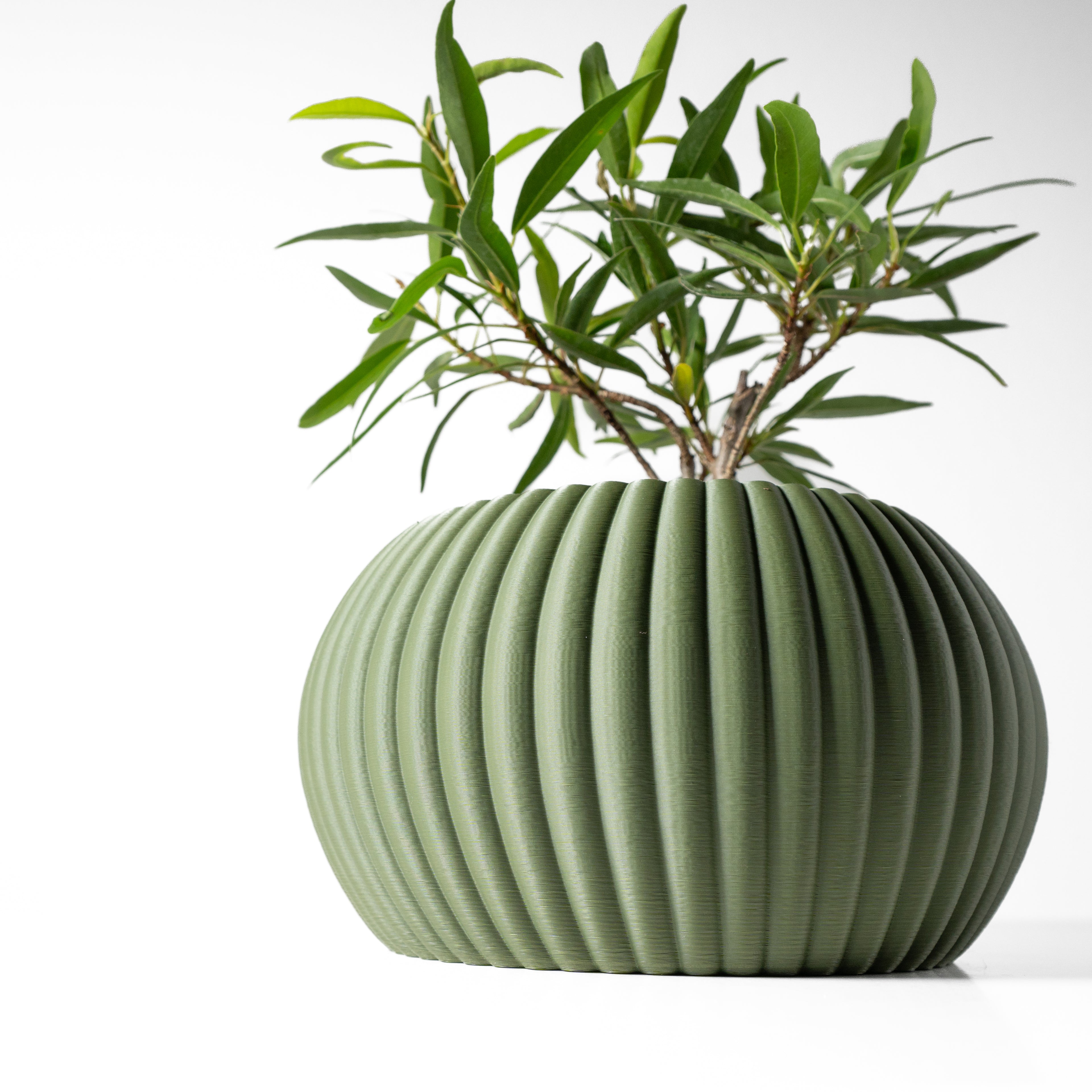 Roni Planter