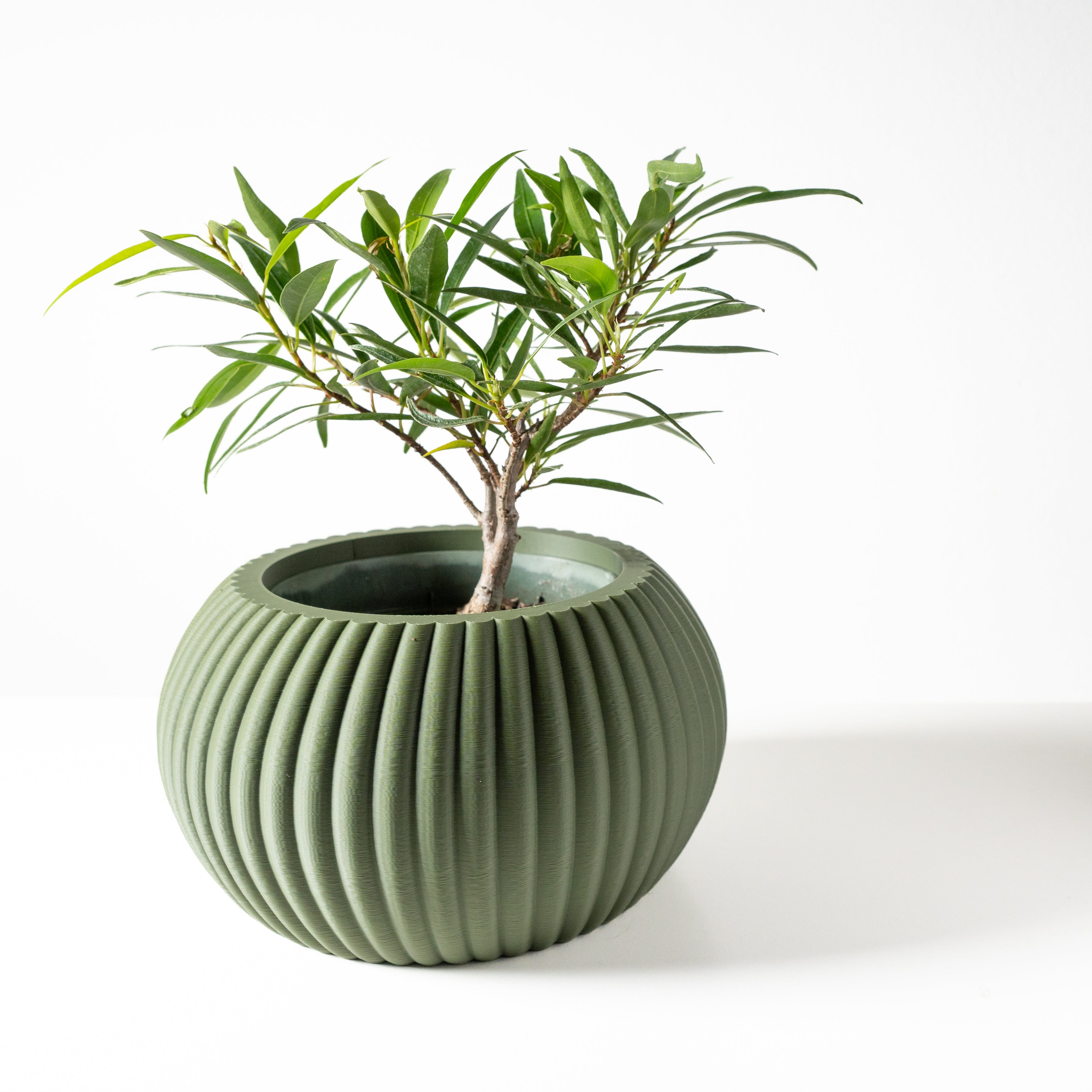 Roni Planter