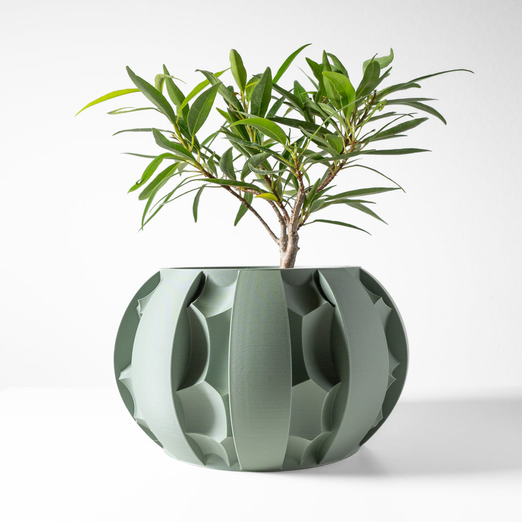 Erna Planter