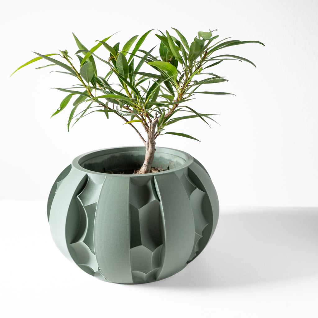 Erna Planter
