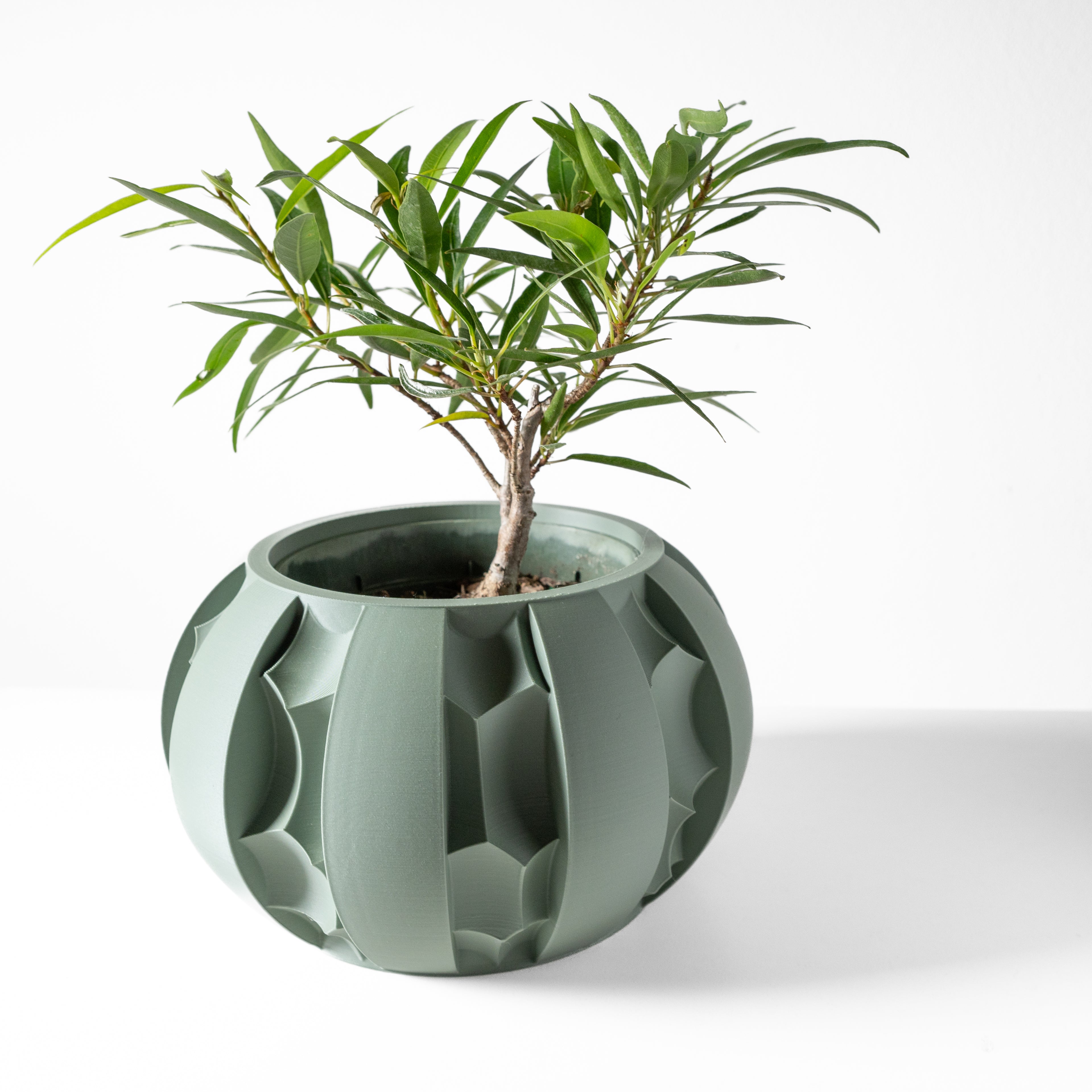 Erna Planter