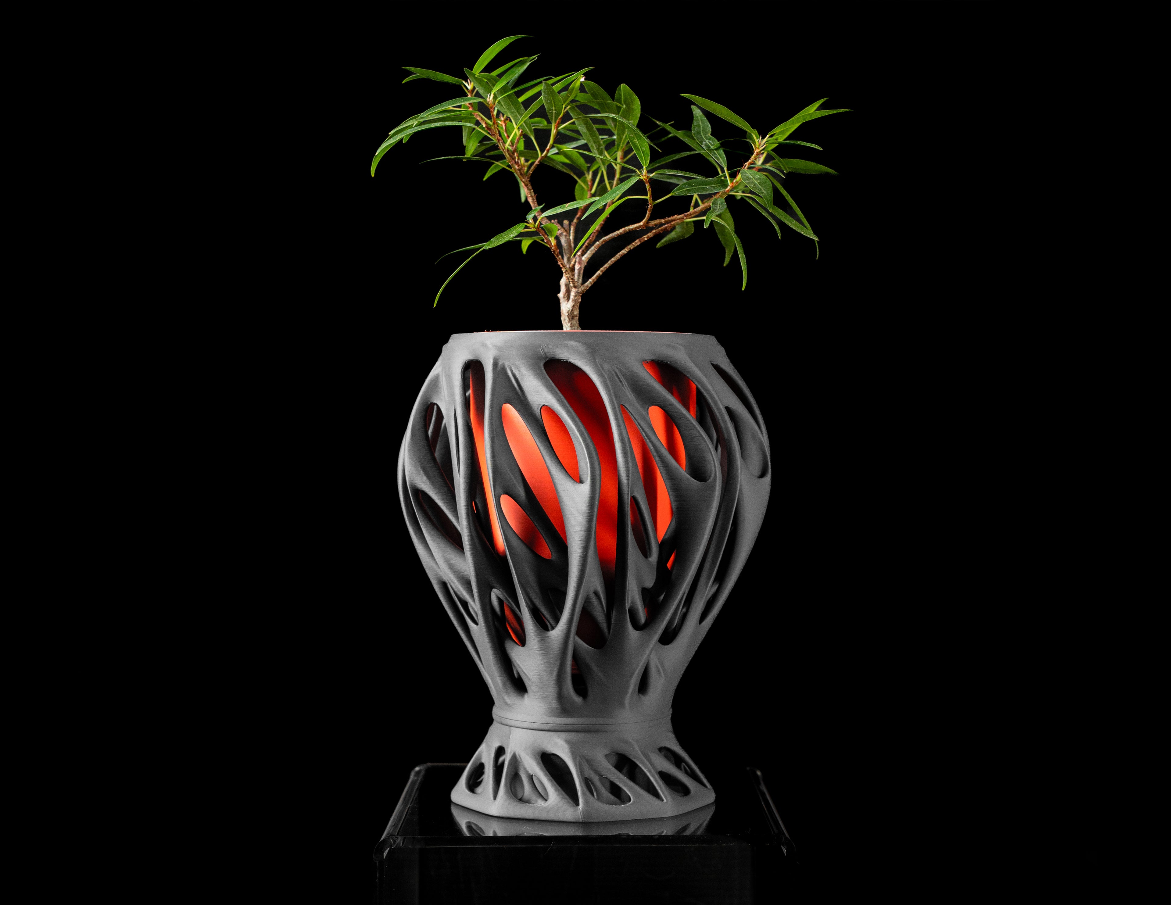 Mantis Planter Pot