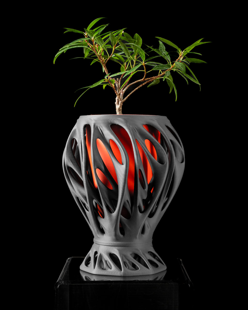Mantis Planter Pot