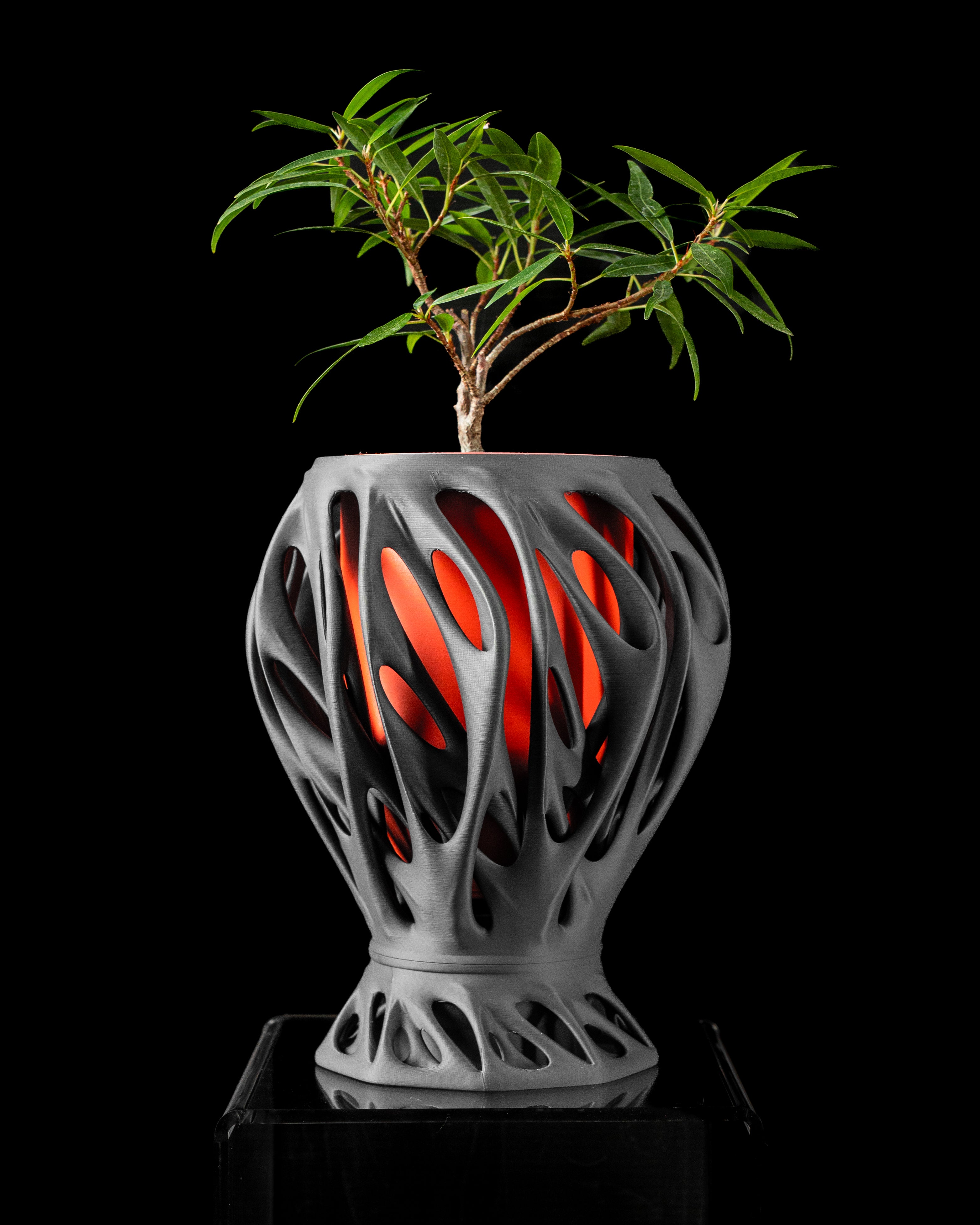 Mantis Planter Pot