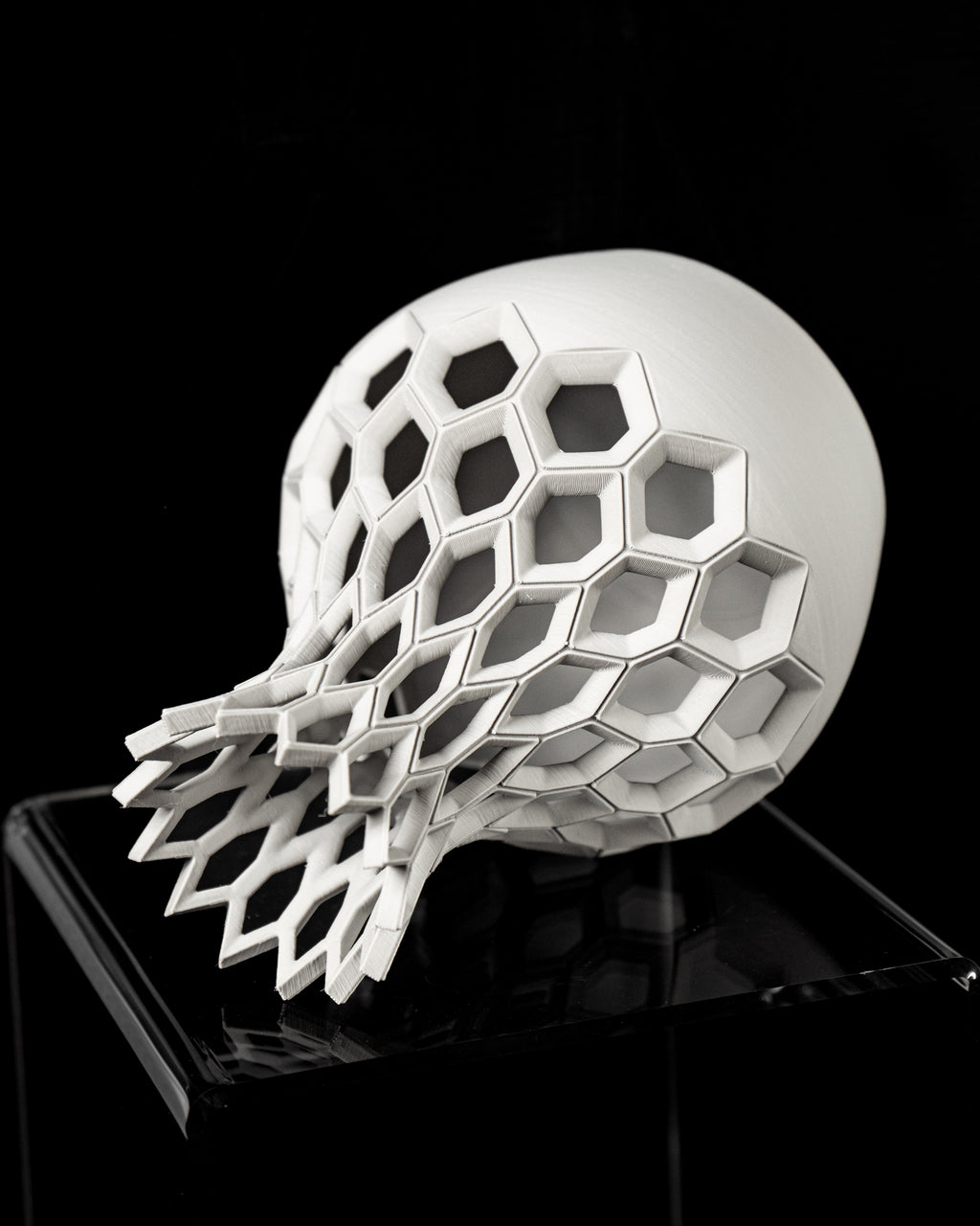 Hexa Flower Vase