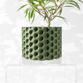 Armos Planter Pot