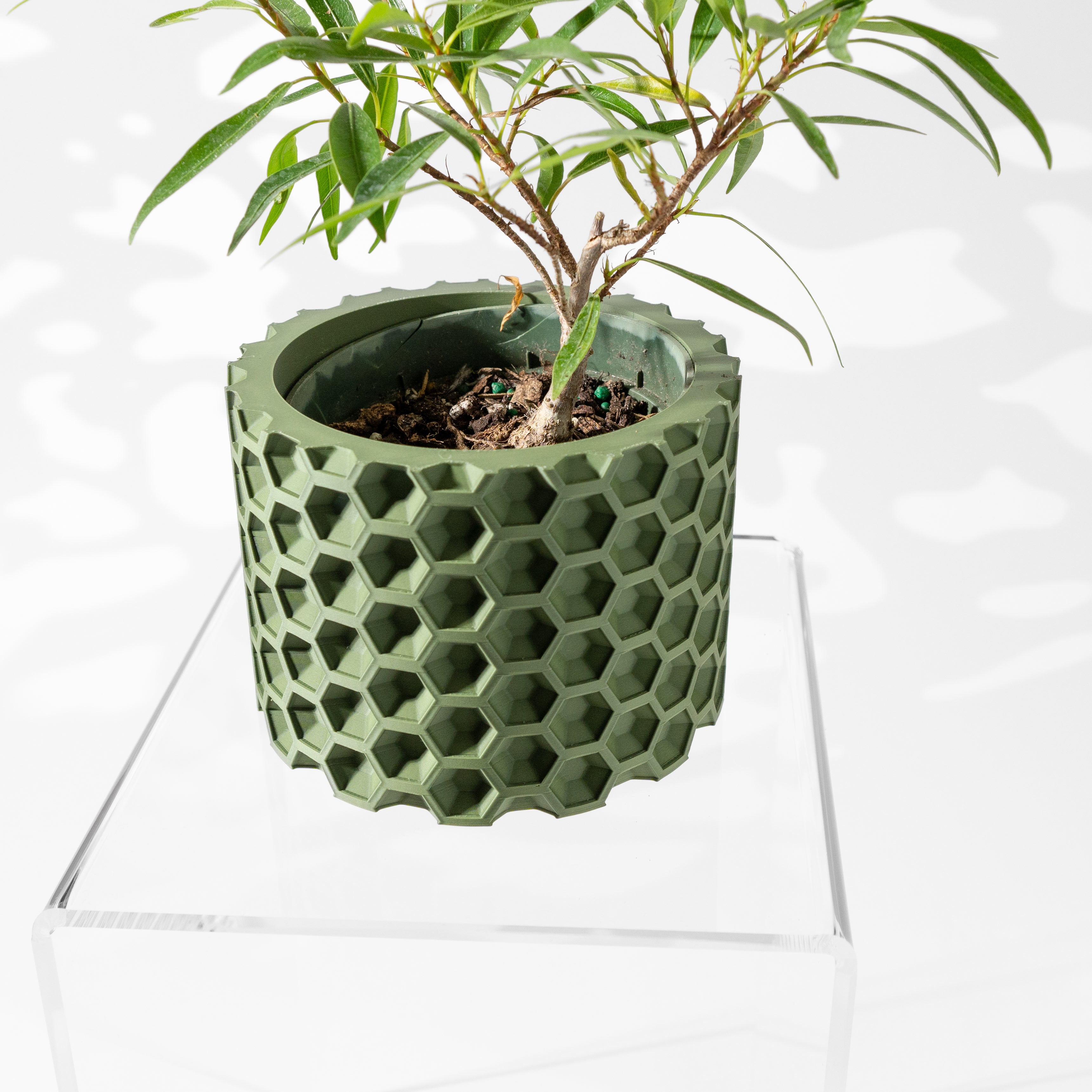 Armos Planter Pot