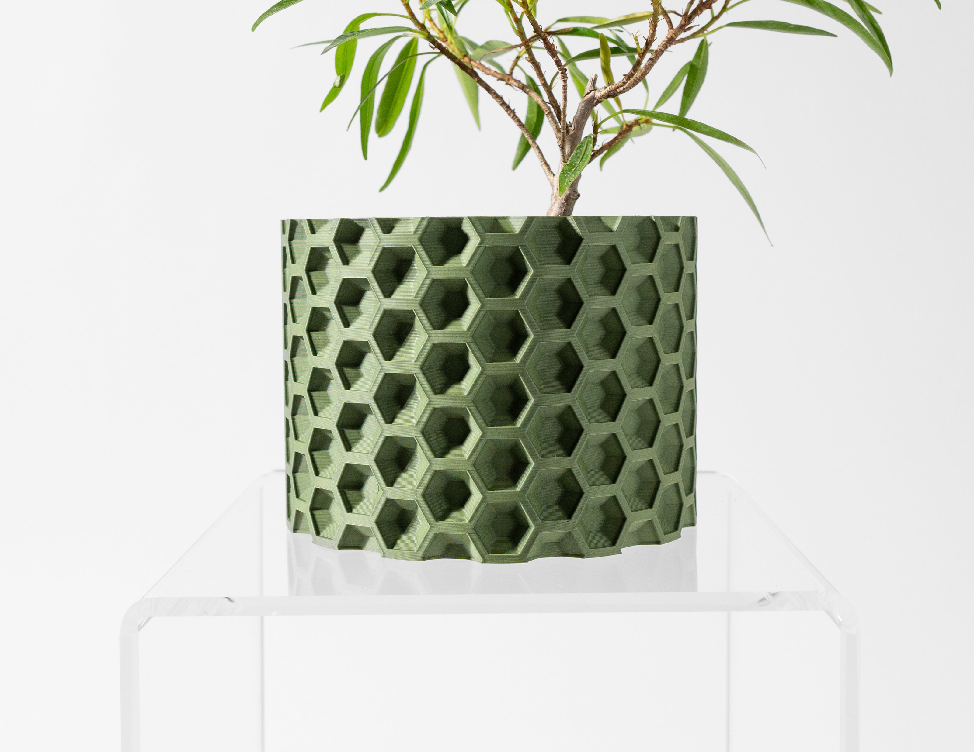 Armos Planter Pot