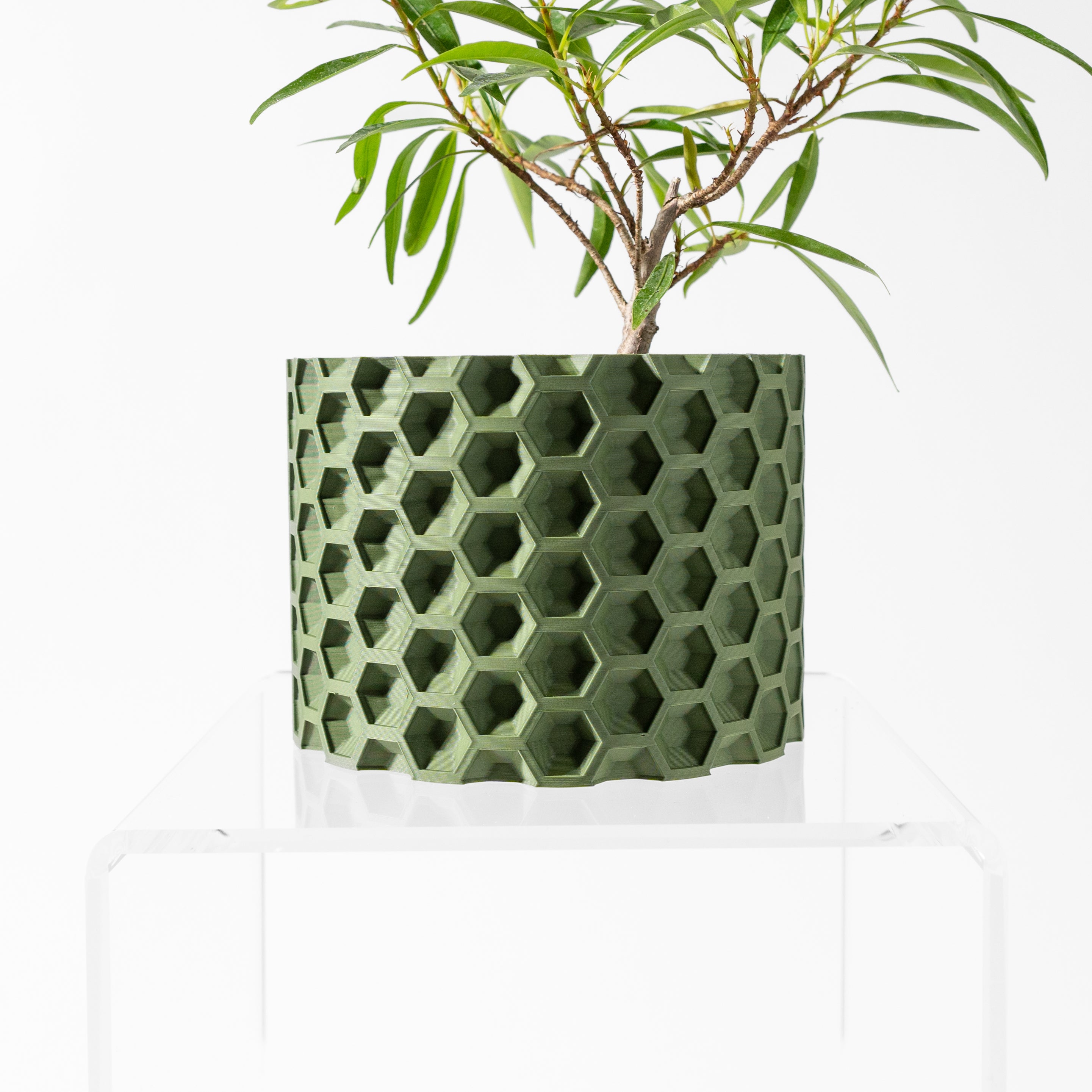 Armos Planter Pot