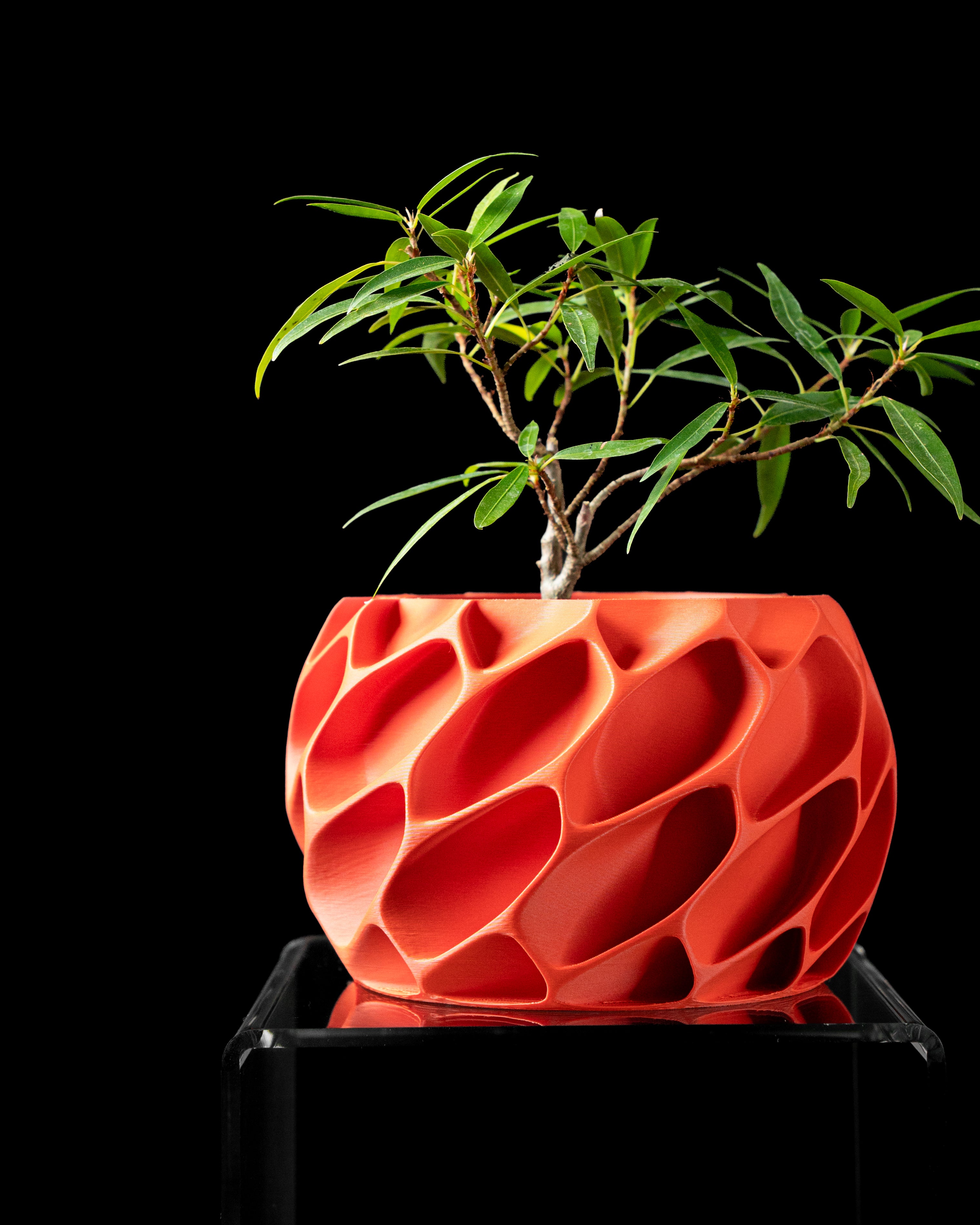 Exo Planter Pot