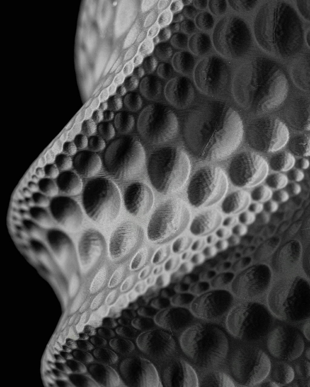Moon Flower Vase