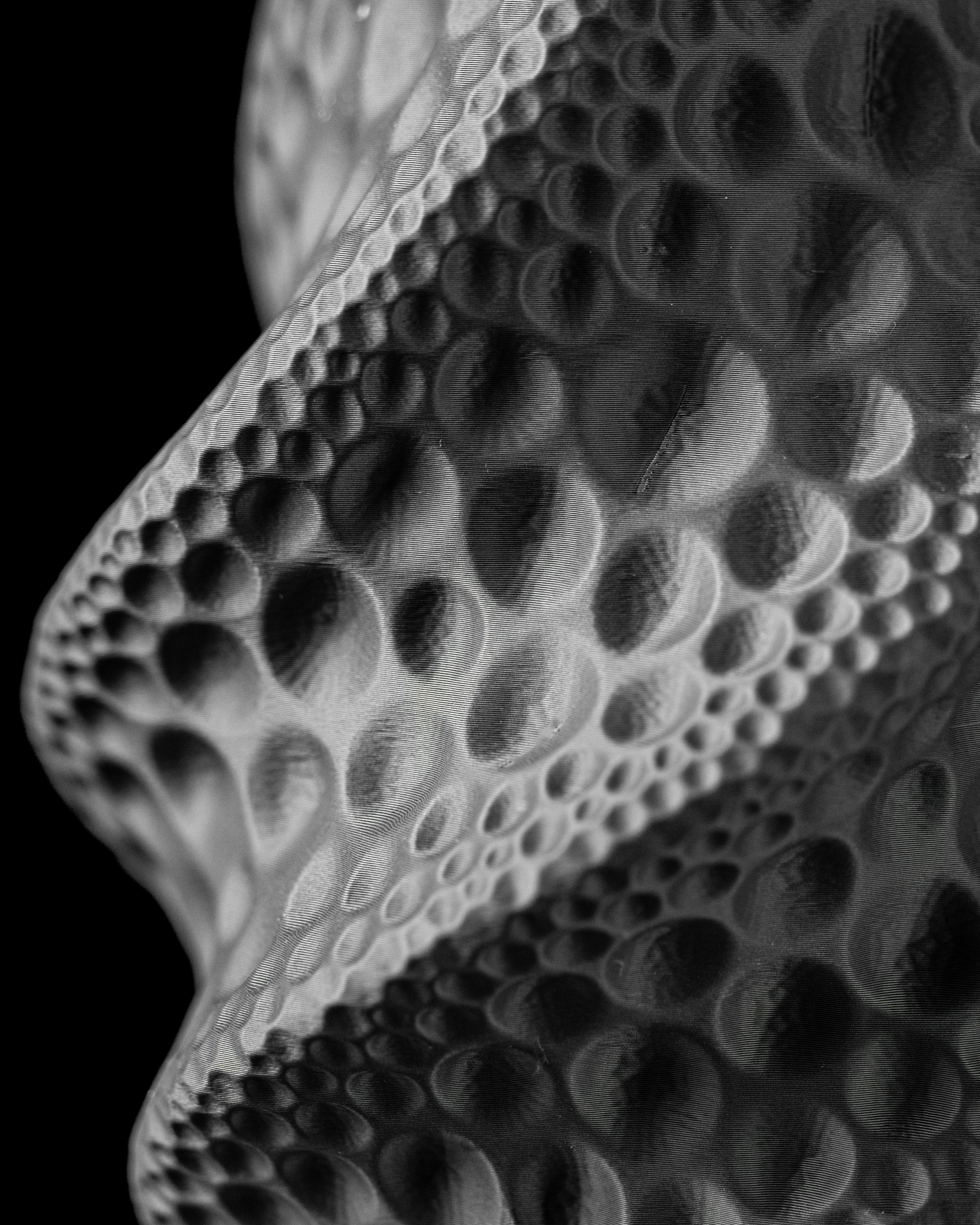 Moon Flower Vase