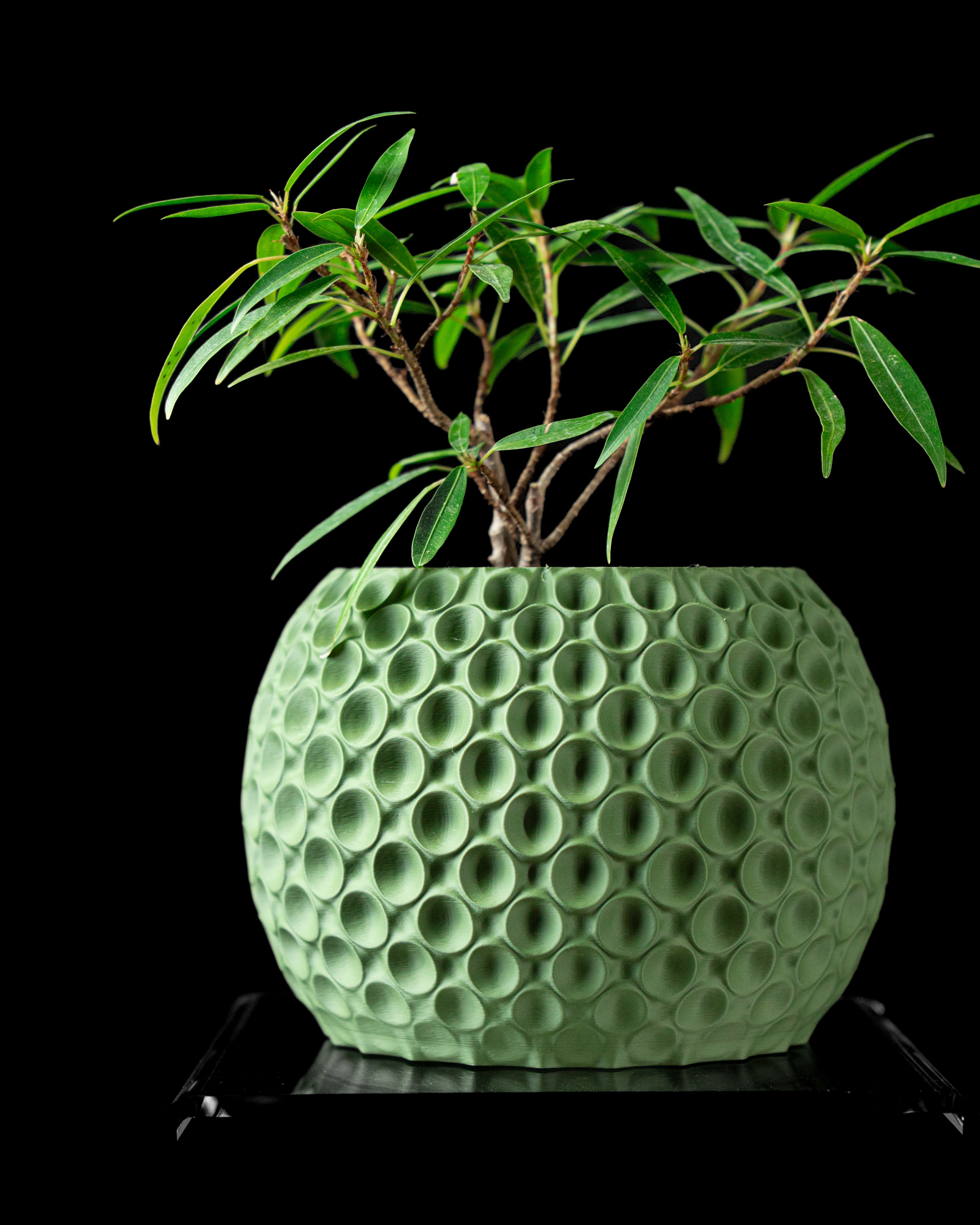 Bubble Planter Pot