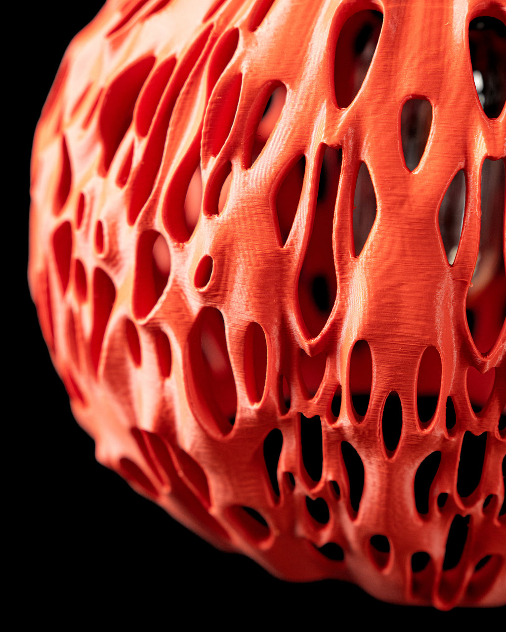 The Spotted Pendant Lamp