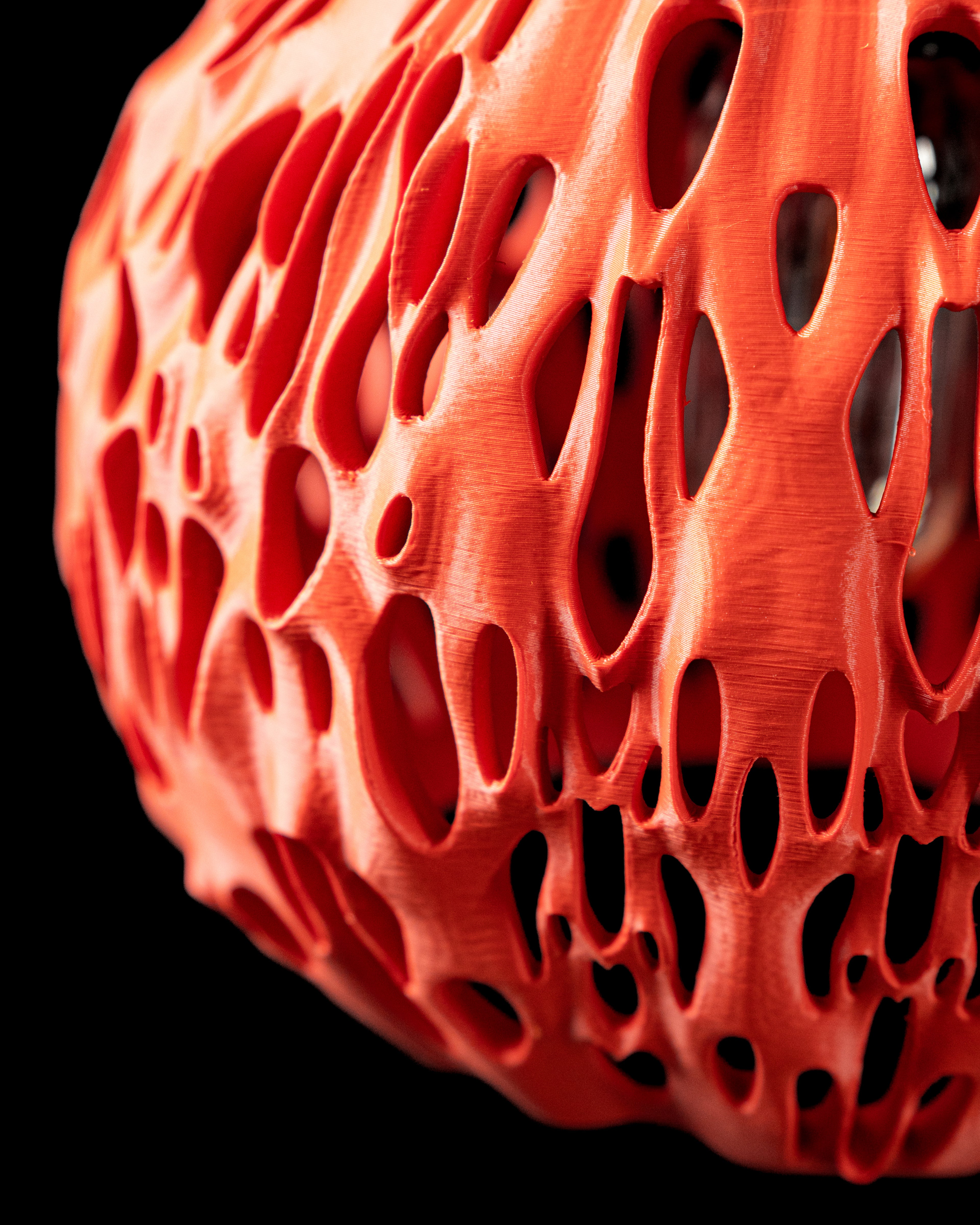 The Spotted Pendant Lamp