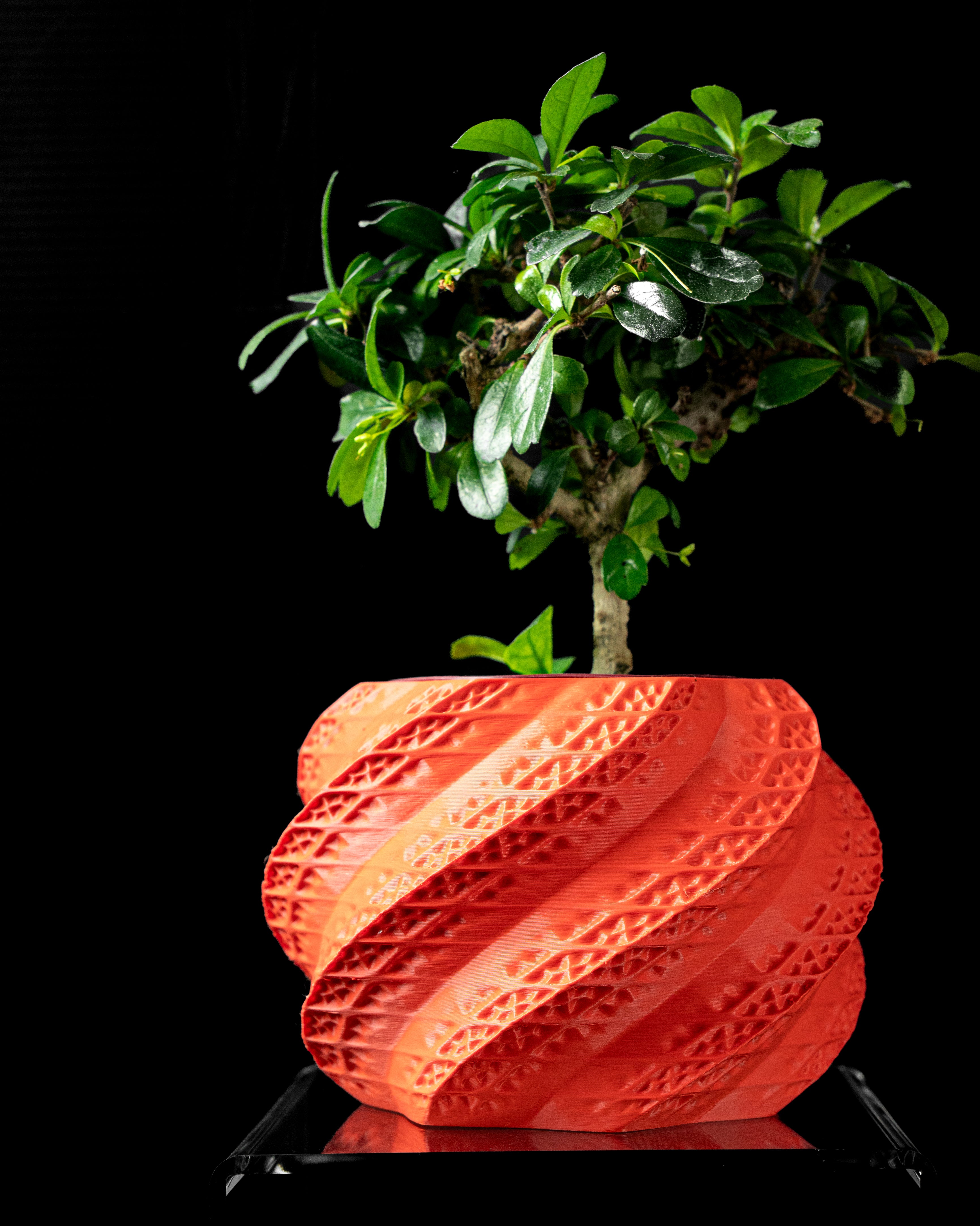 Shell Planter Pot