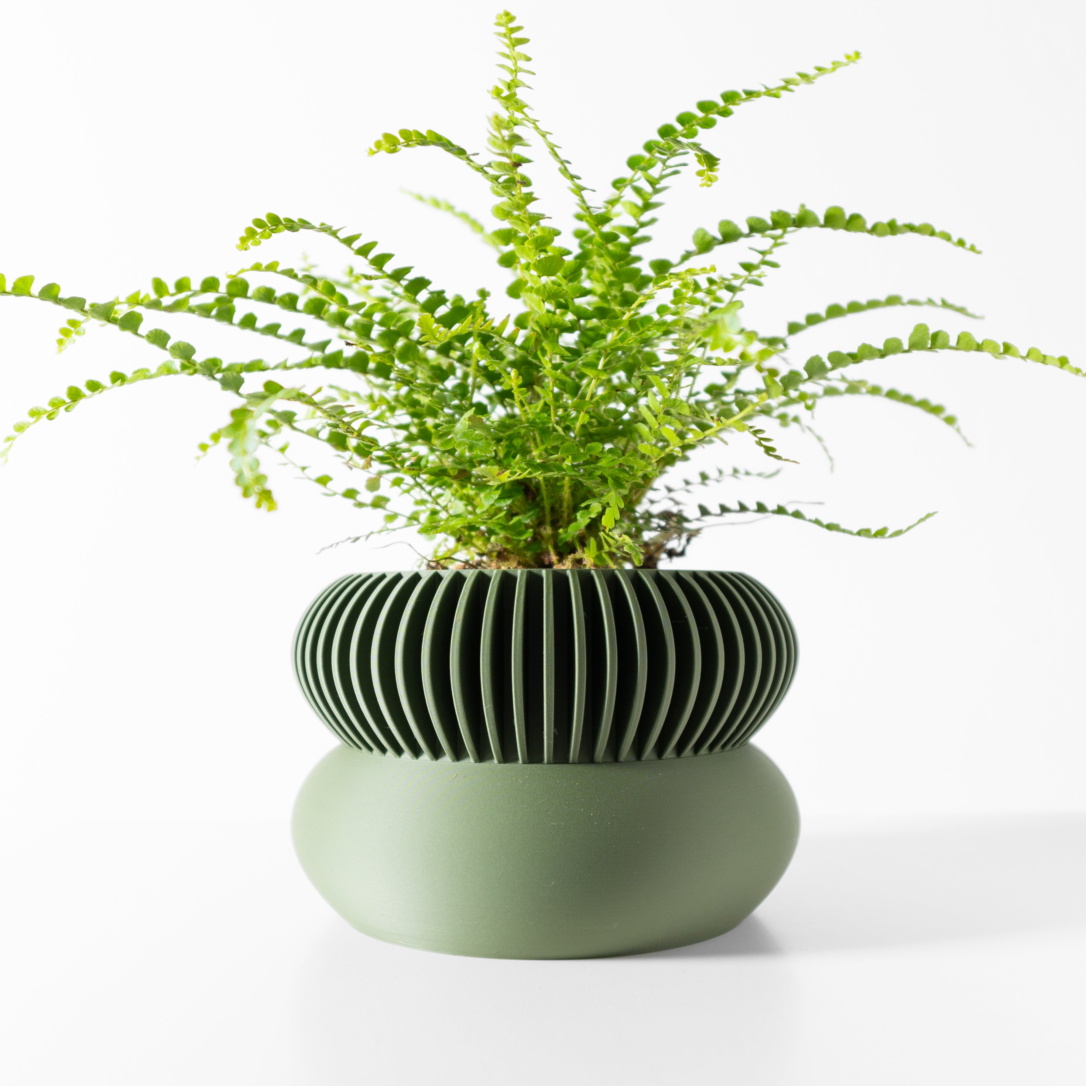 Elomi Planter