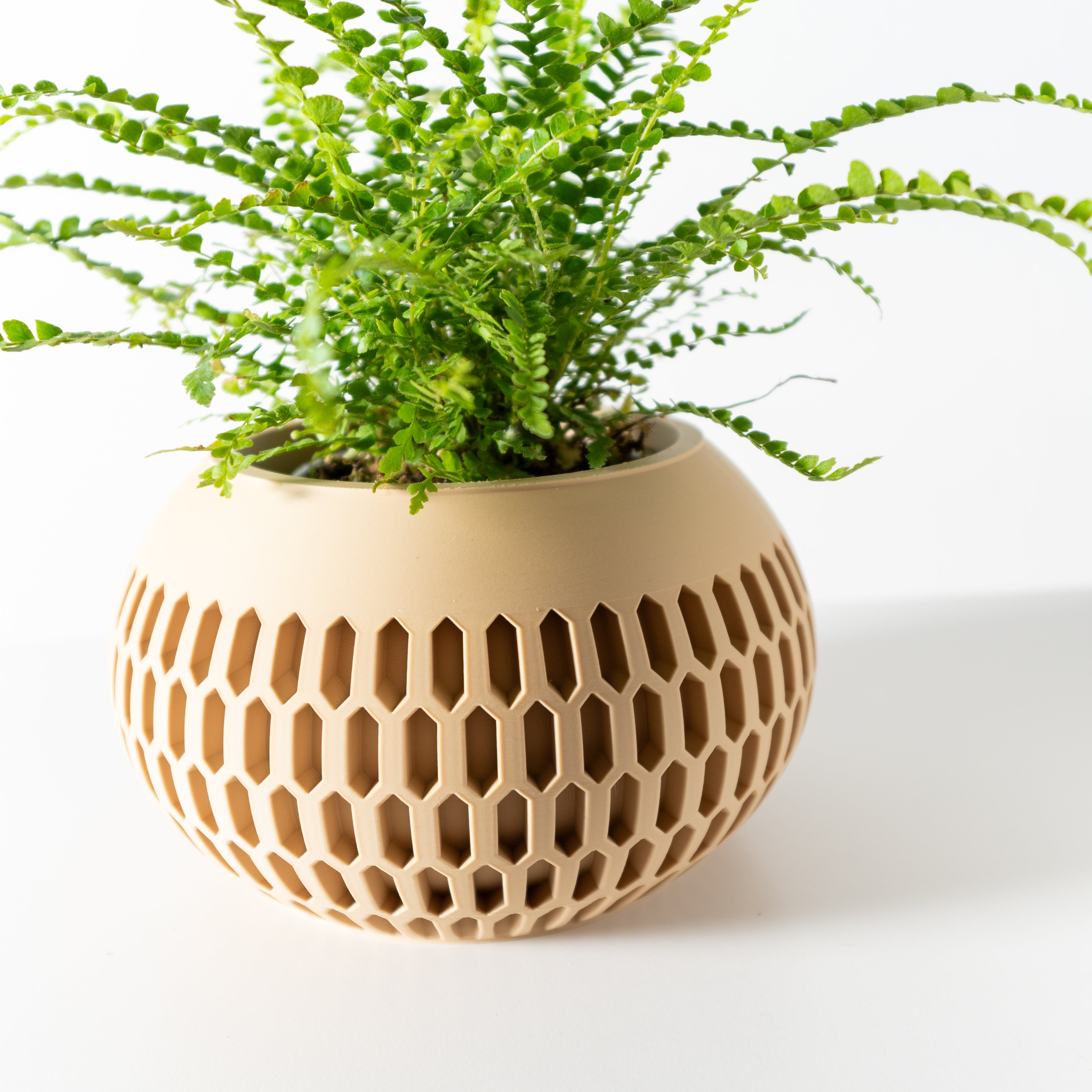 Mervis Planter
