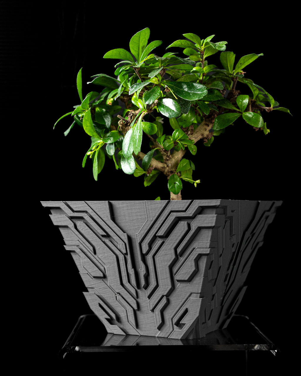 Uplink Planter Pot