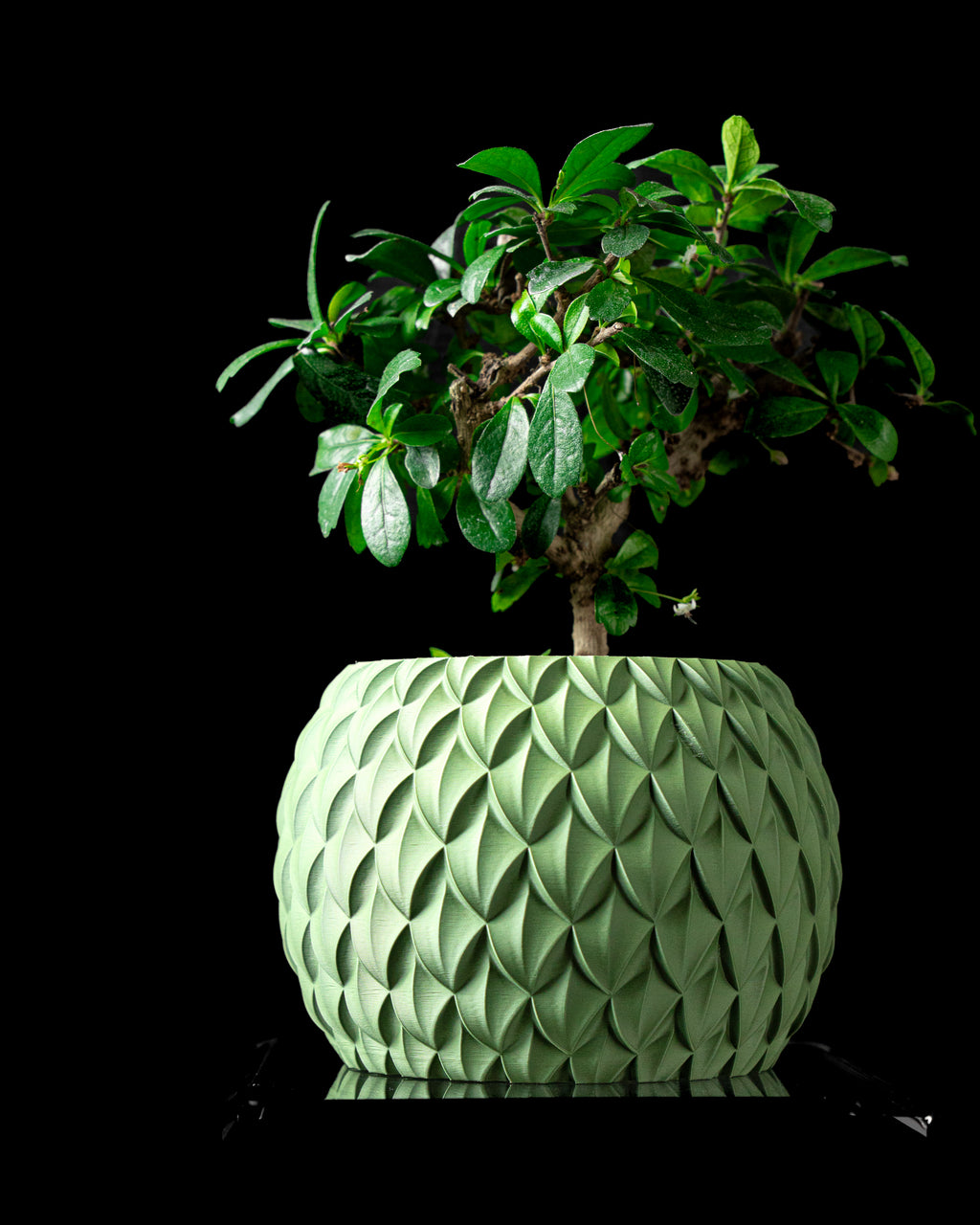 Scale Planter Pot
