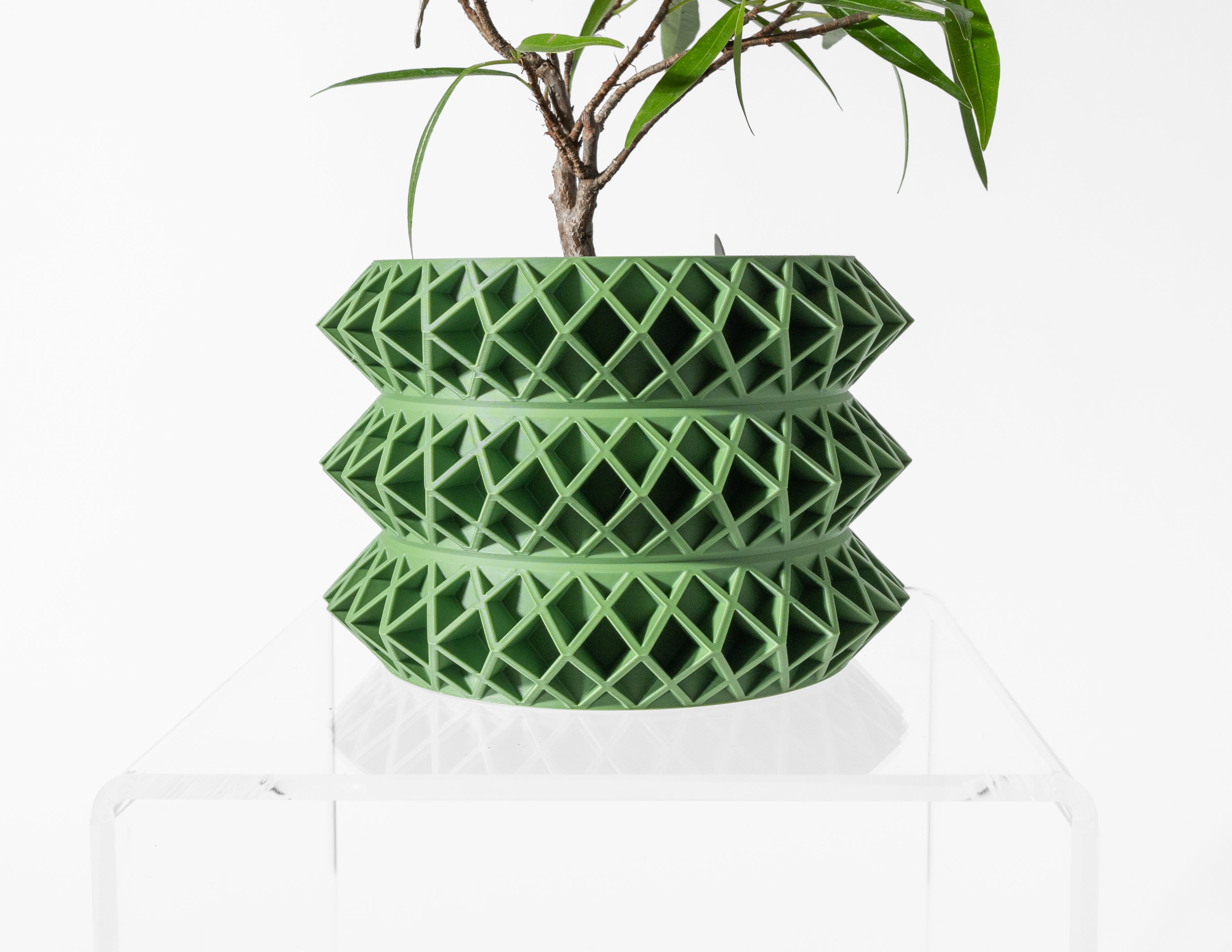 Tomo Planter Pot