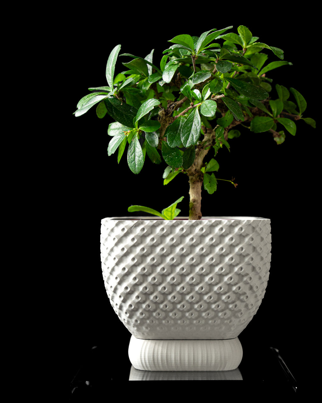 Connect Planter Pot