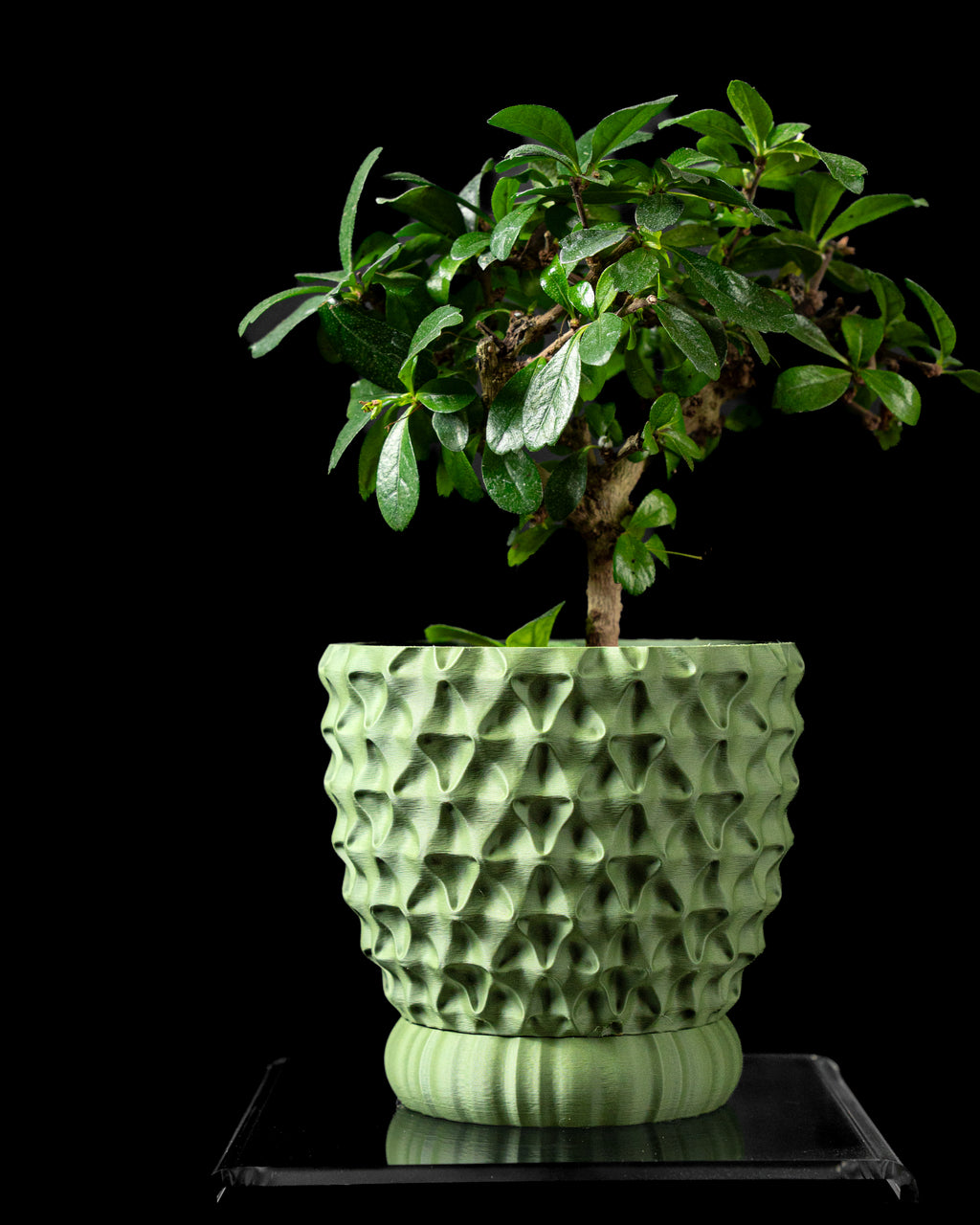 Tri-Wave Planter Pot