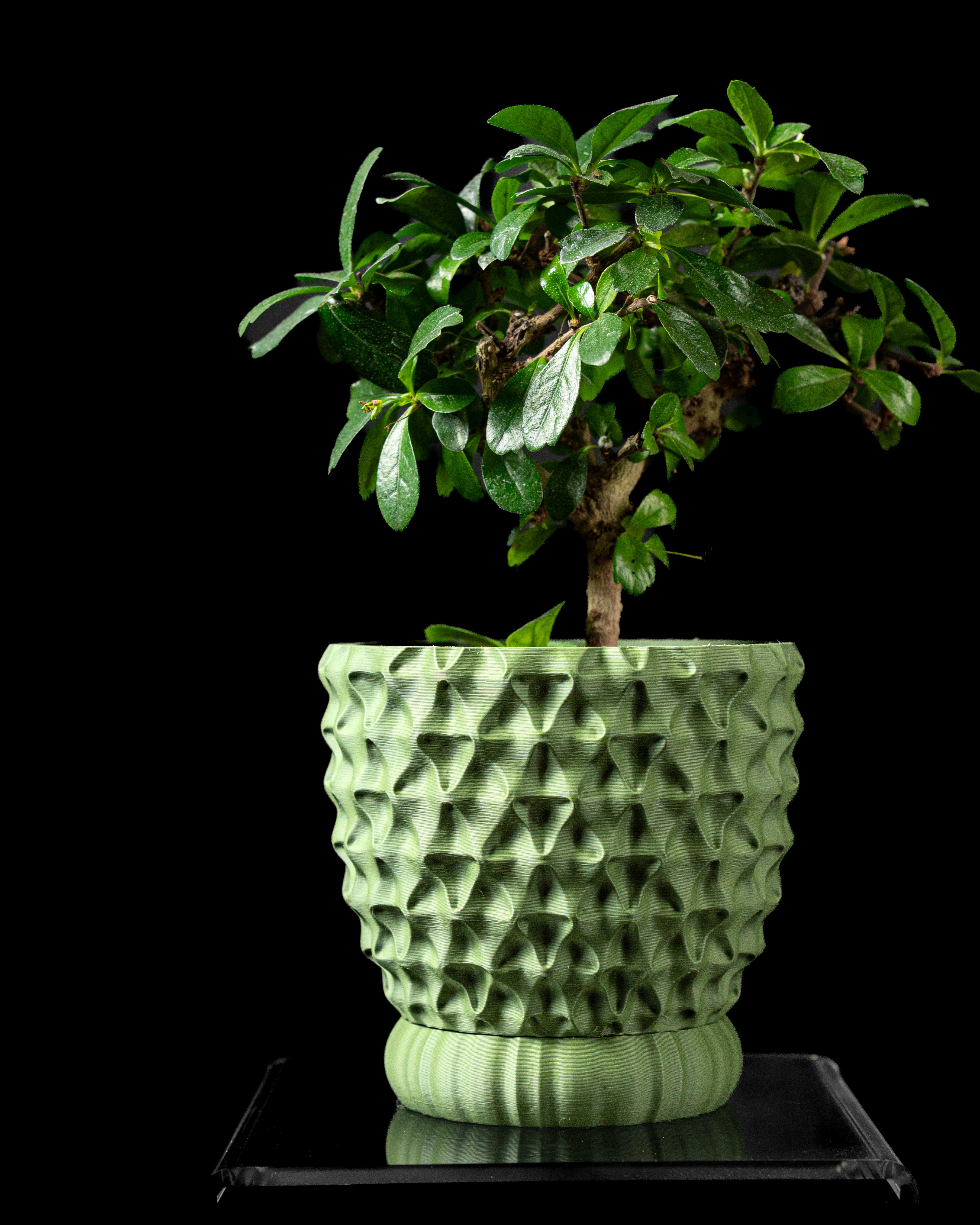 Tri-Wave Planter Pot