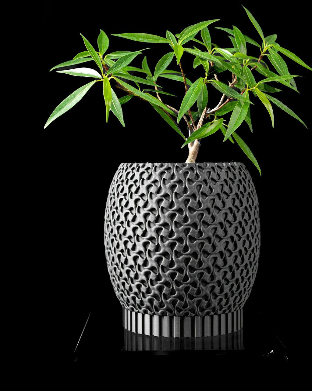 Ringa Planter Pot