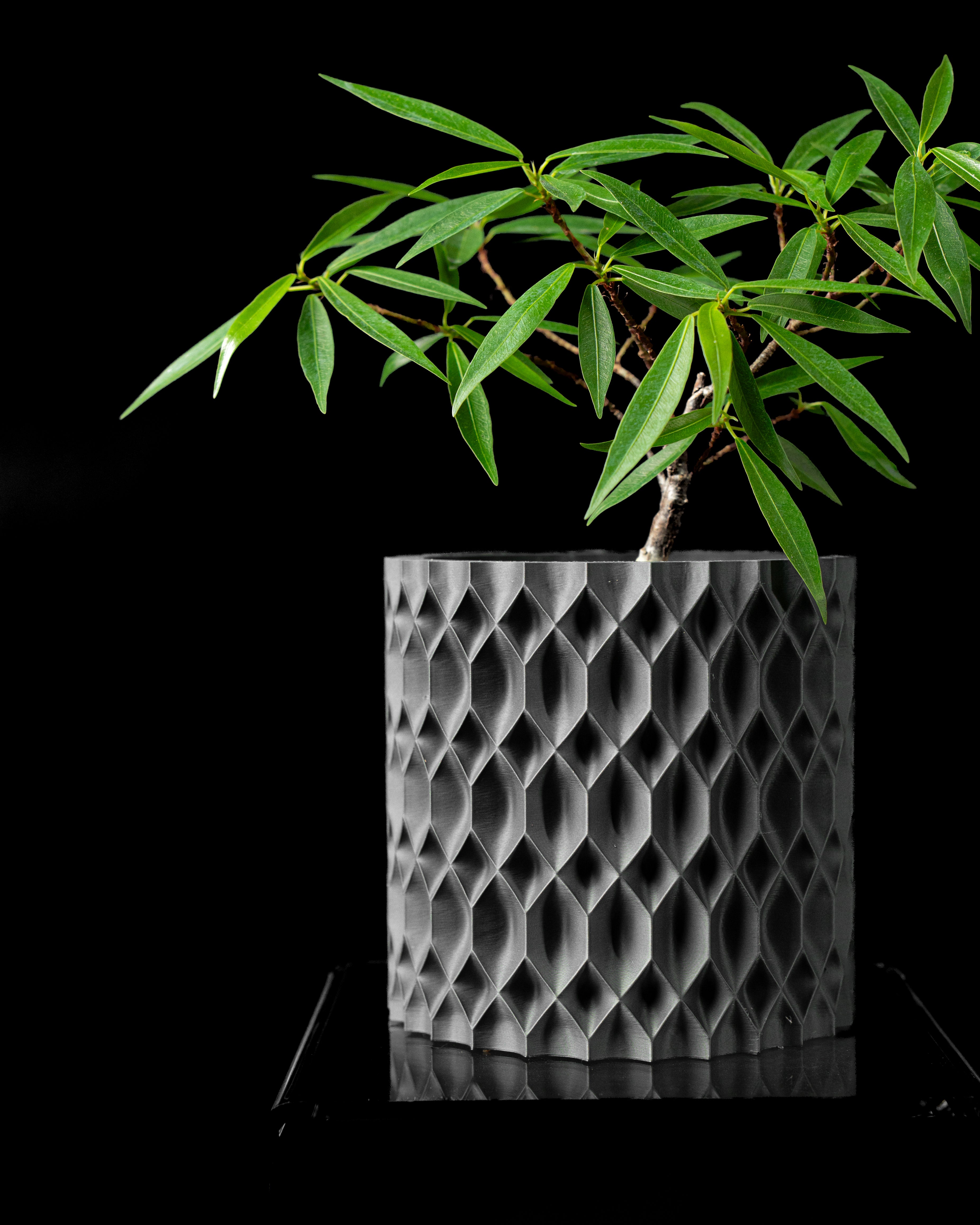 Rhon Planter Pot