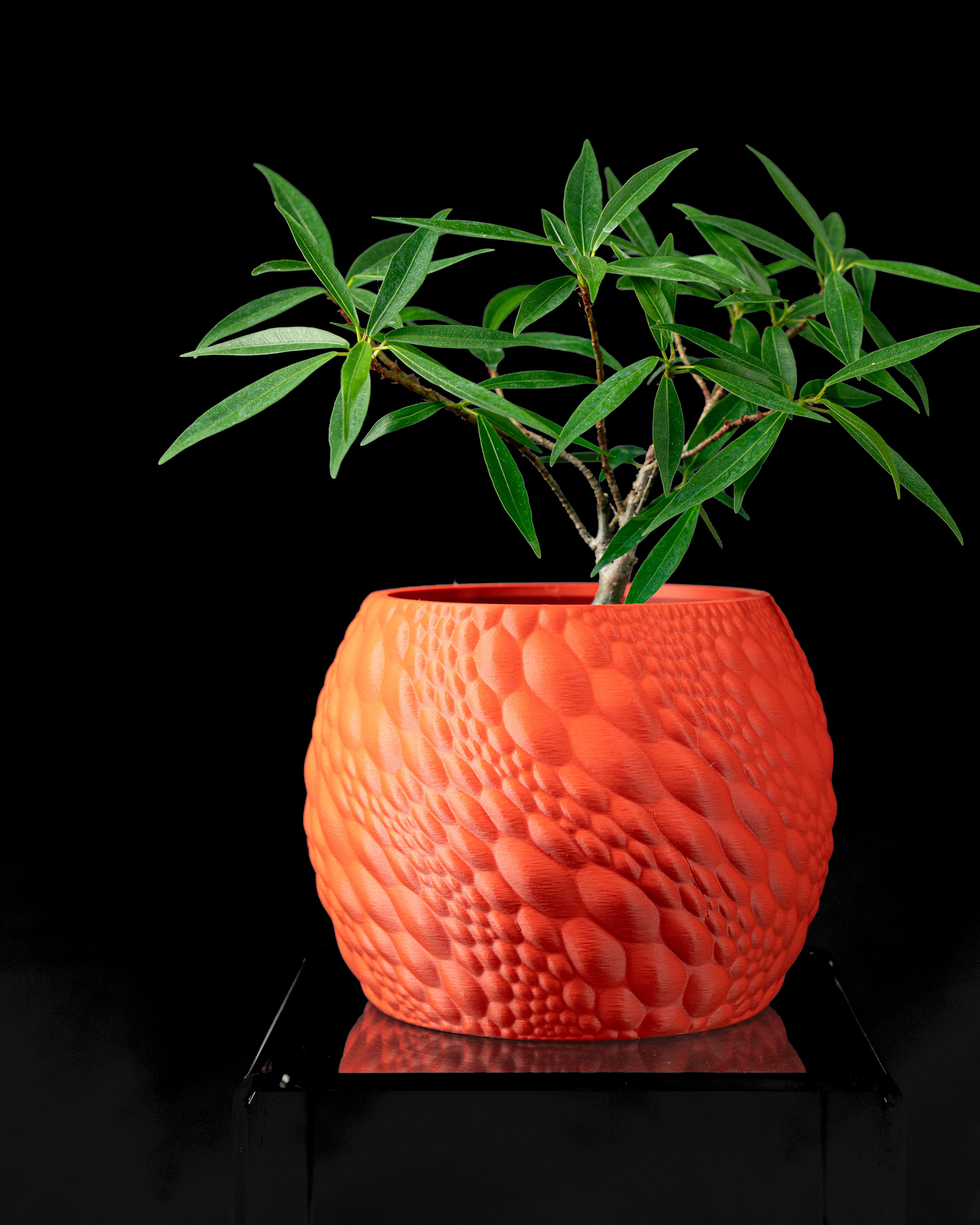 Gato Planter Pot