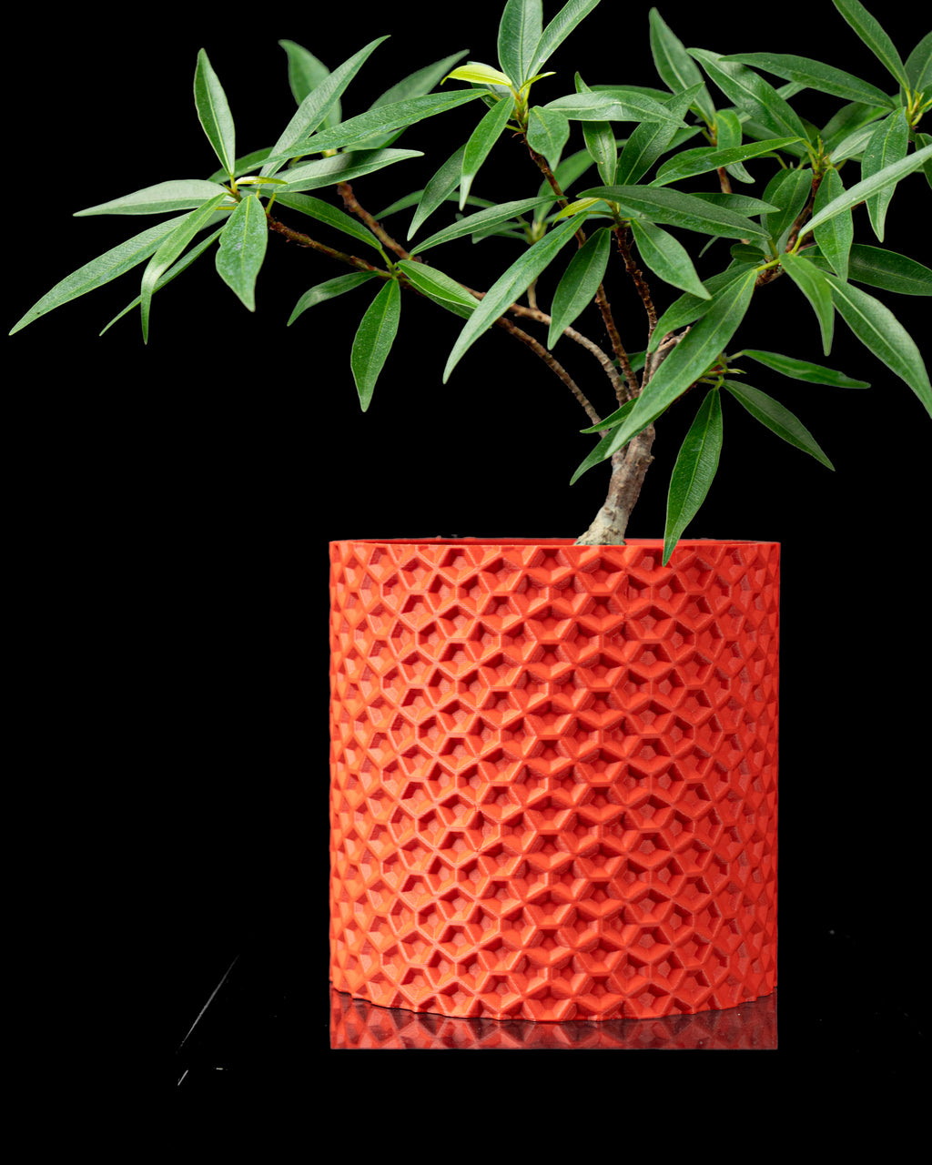 Ordan Planter Pot