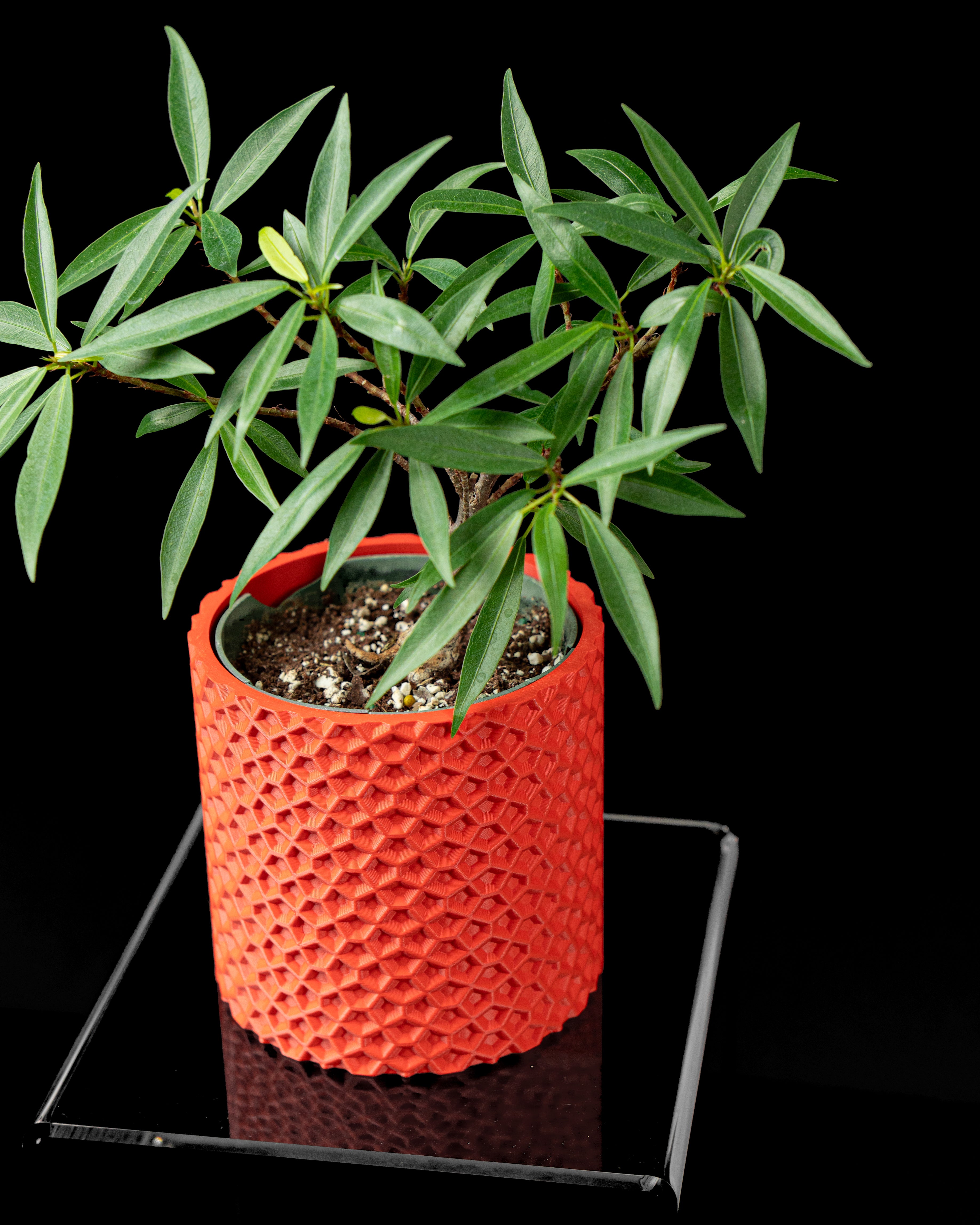 Ordan Planter Pot