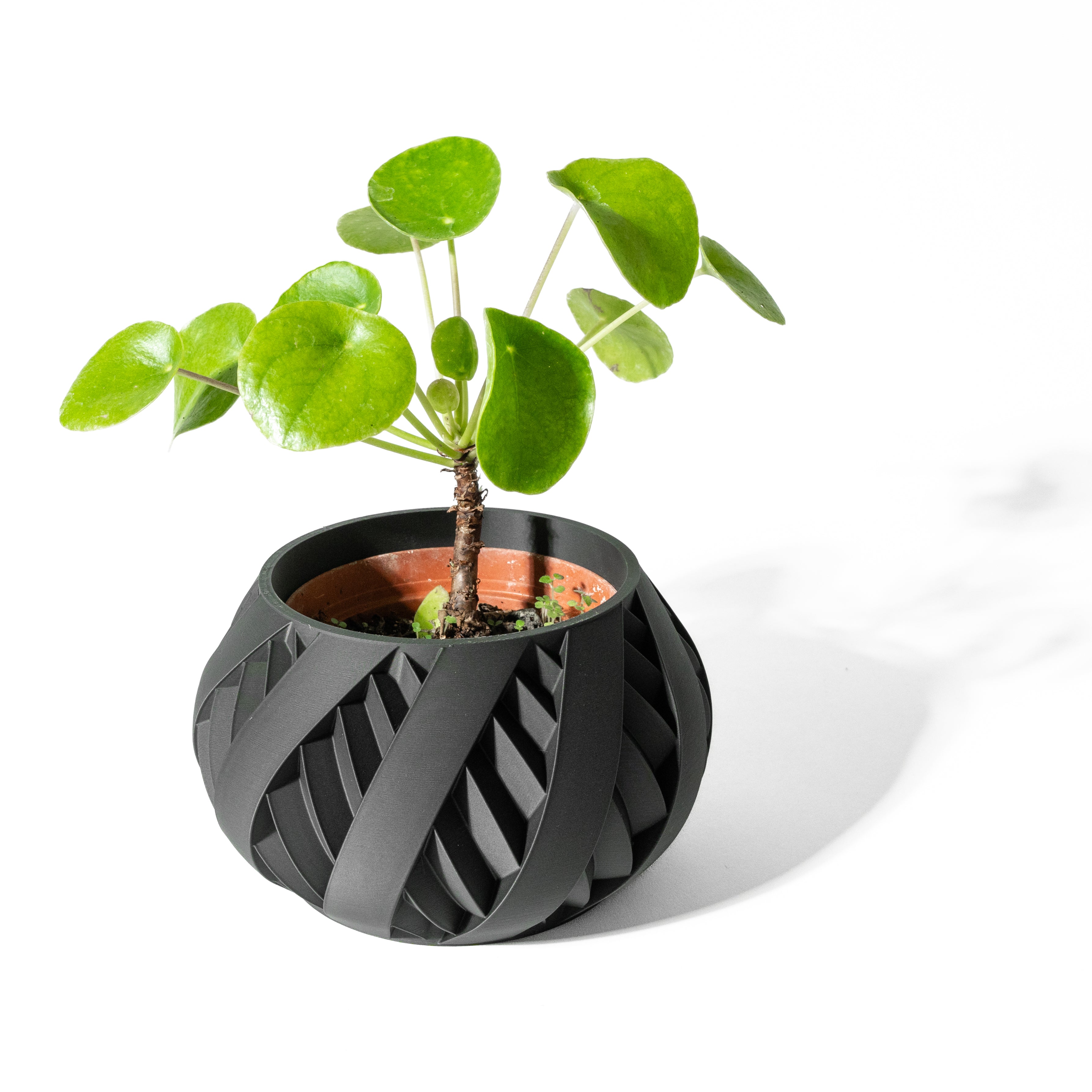 Silvo Planter Pot