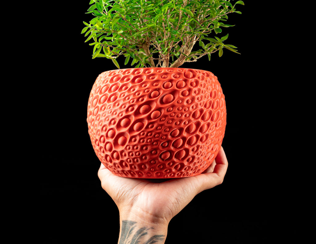 Pearl Planter Pot