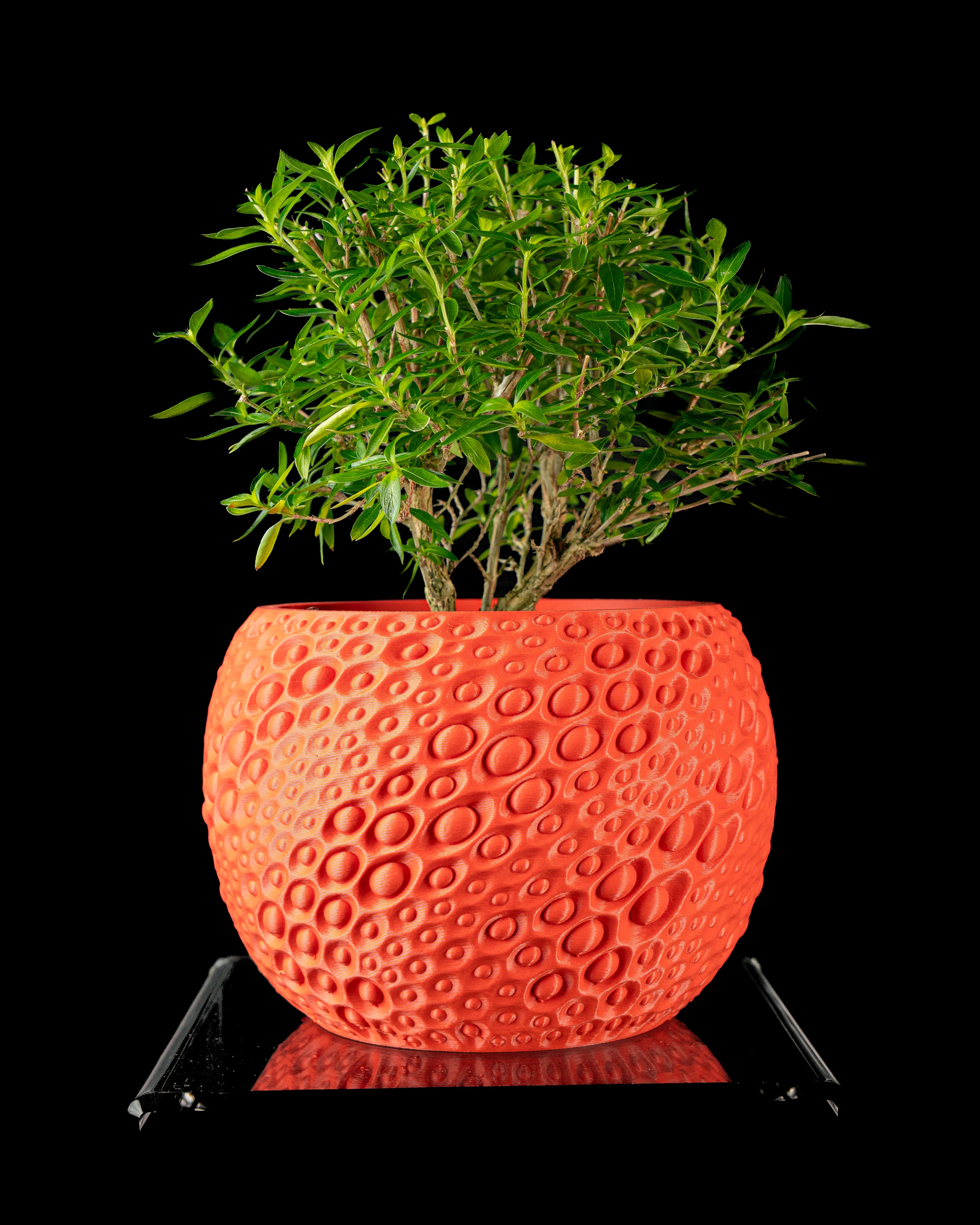 Pearl Planter Pot