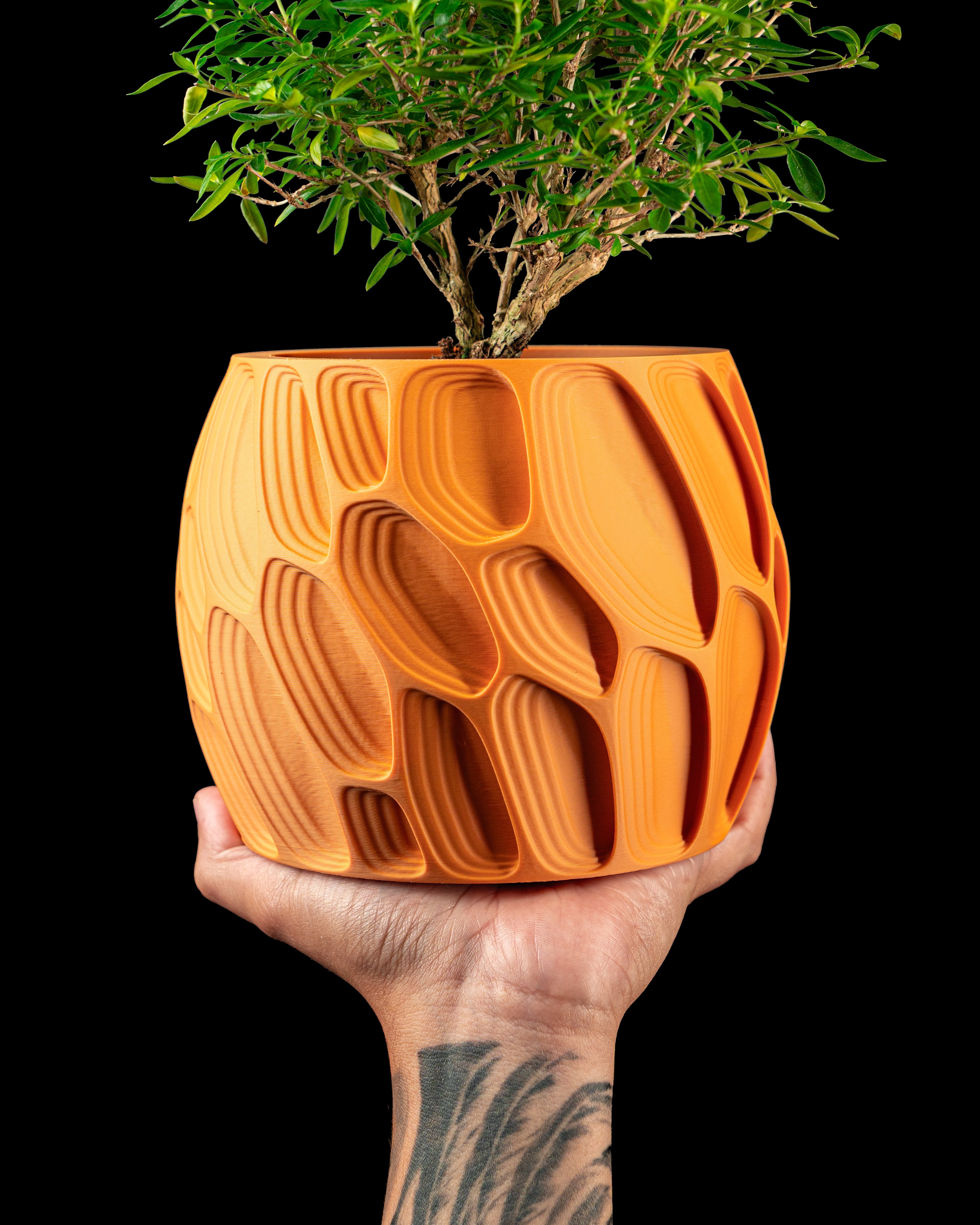 Ringo Planter Pot