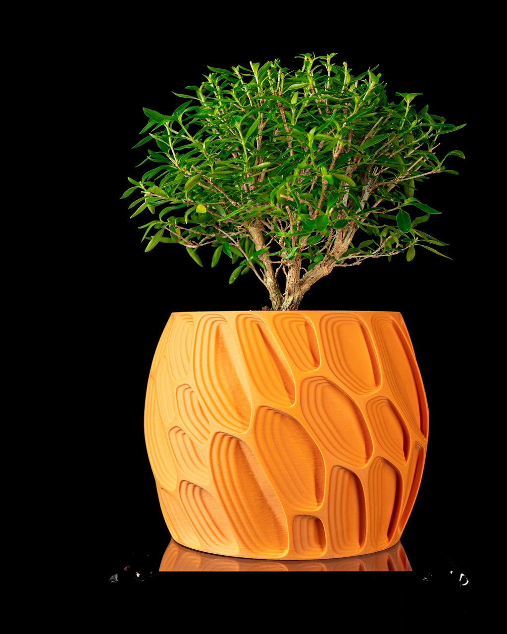 Ringo Planter Pot