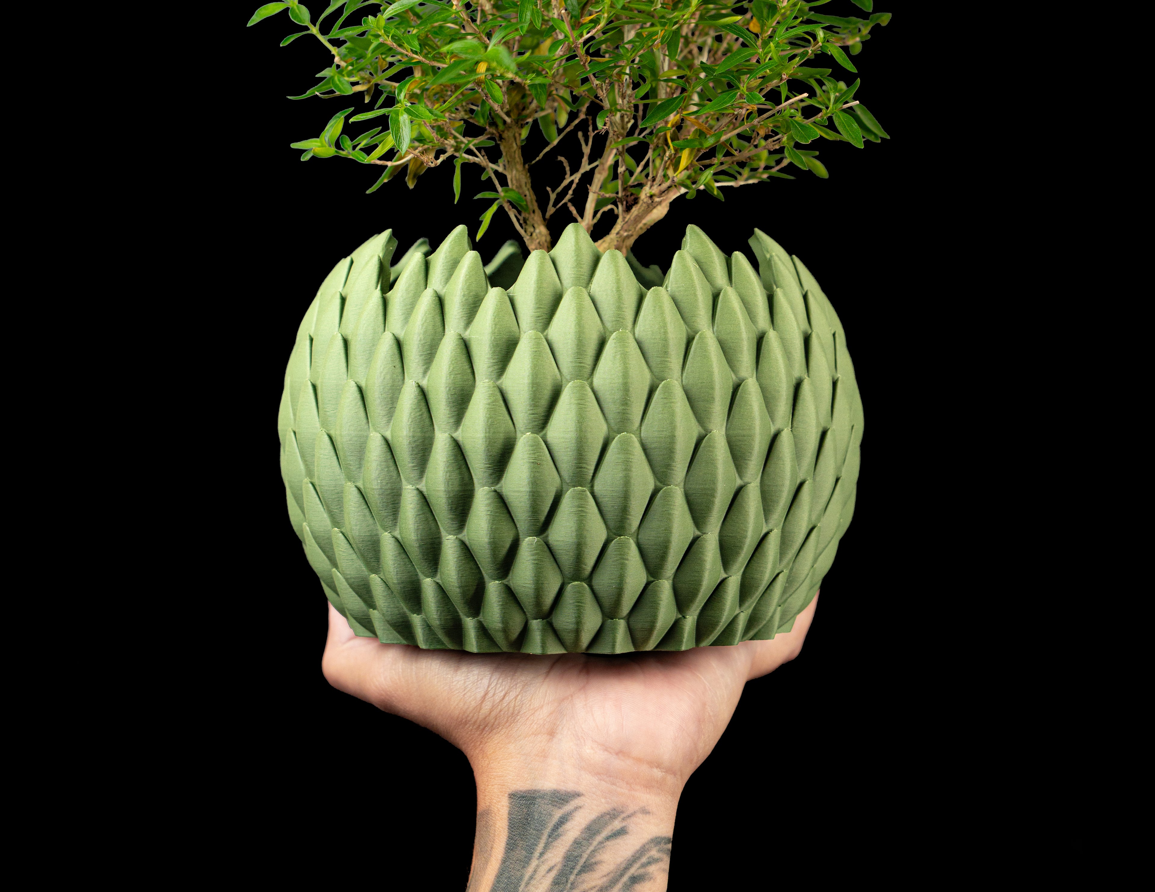 Dragonscale Planter Pot 02
