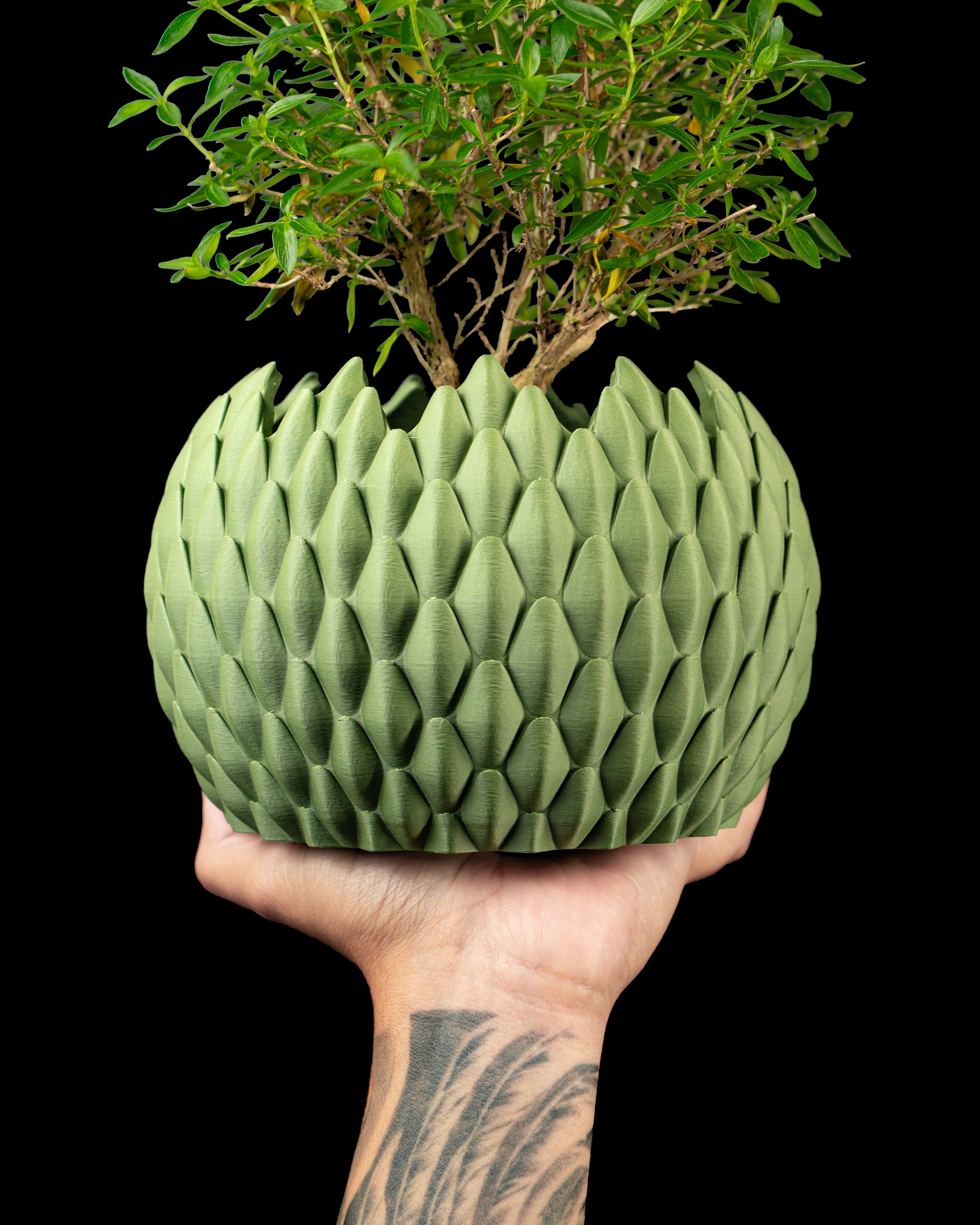Dragonscale Planter Pot 02