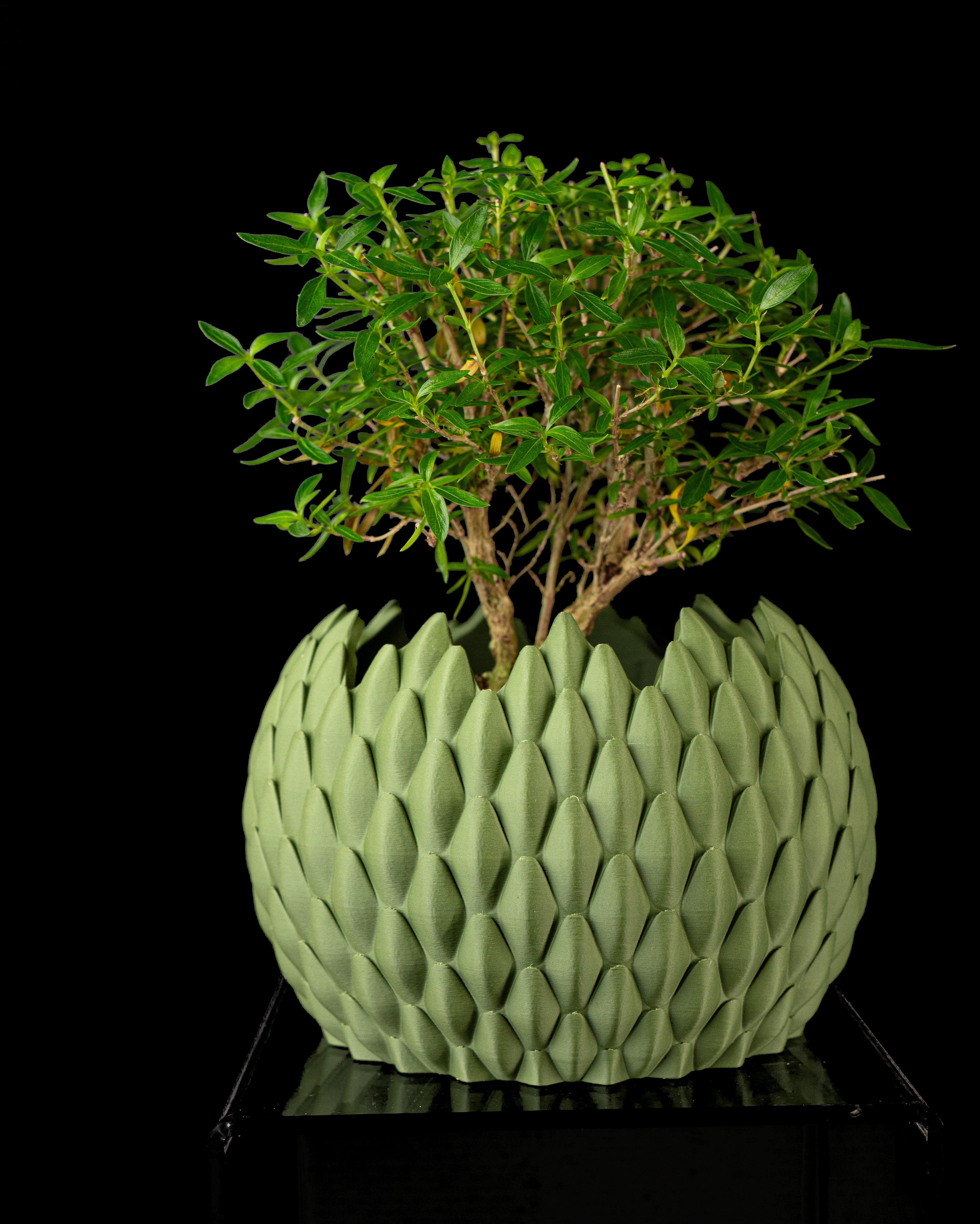 Dragonscale Planter Pot 02