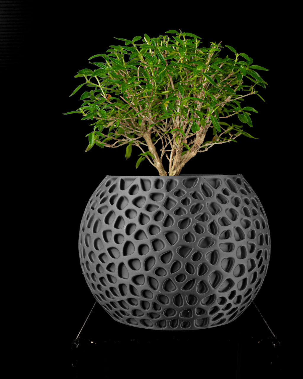 Pulp Planter Pot