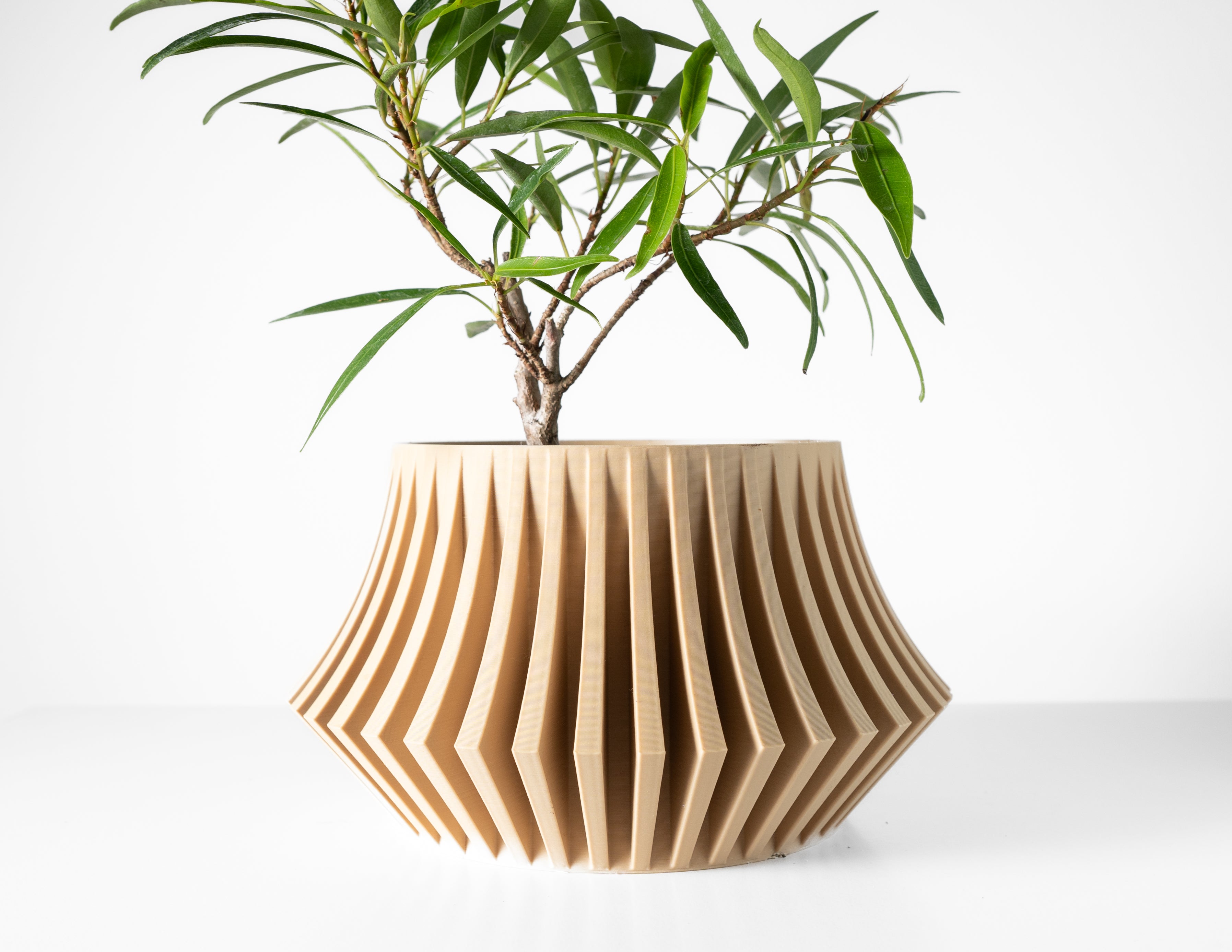 Jasen Planter