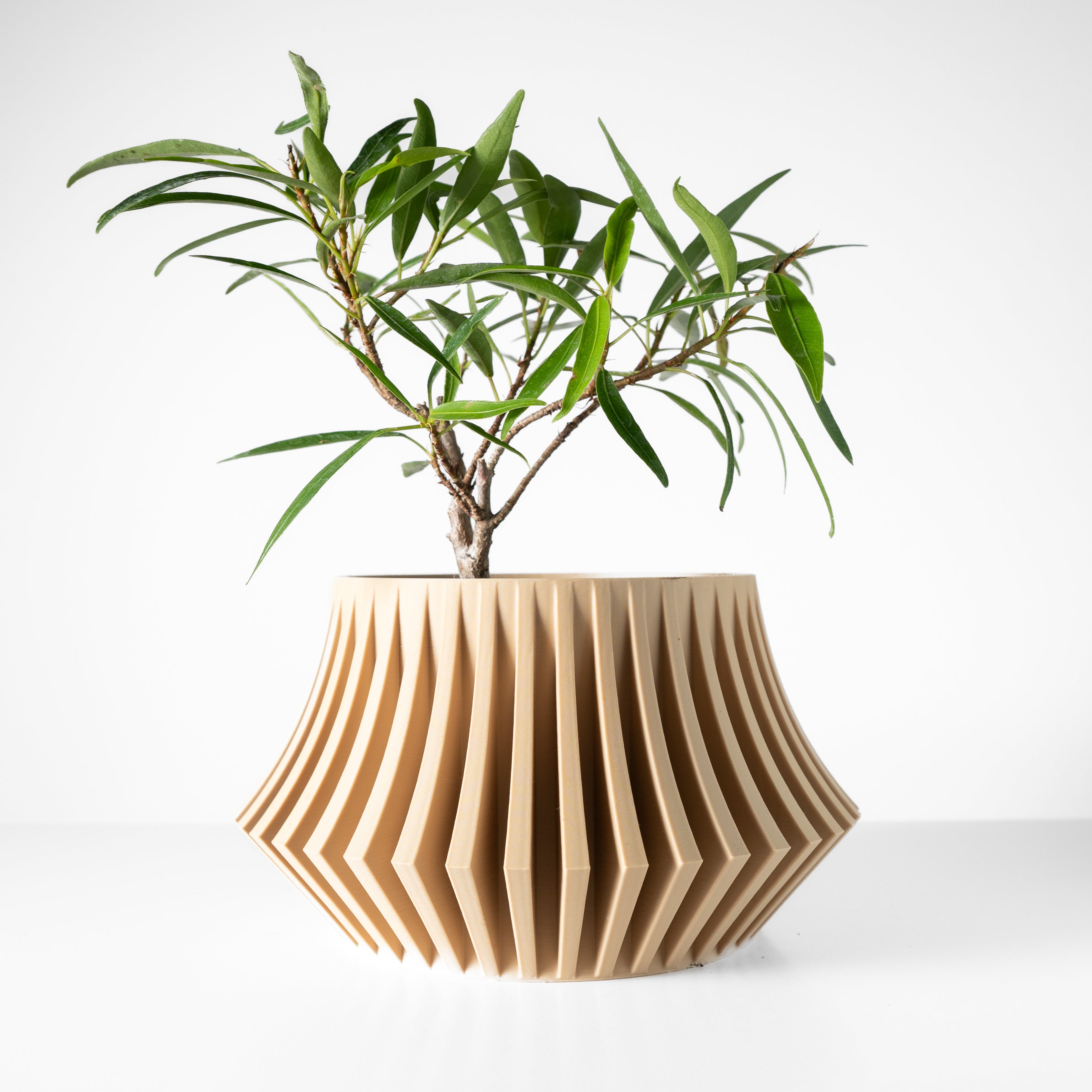 Jasen Planter