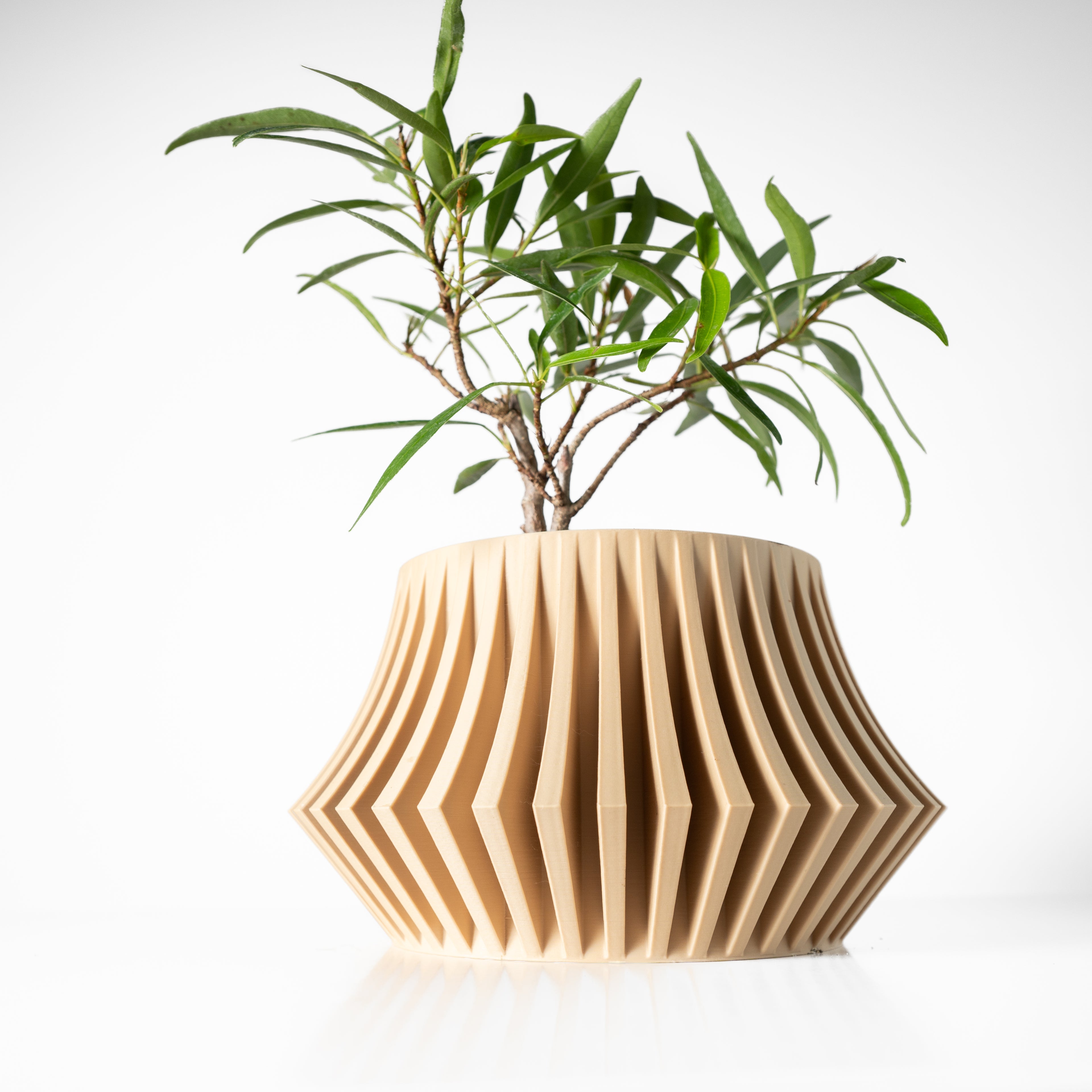Jasen Planter
