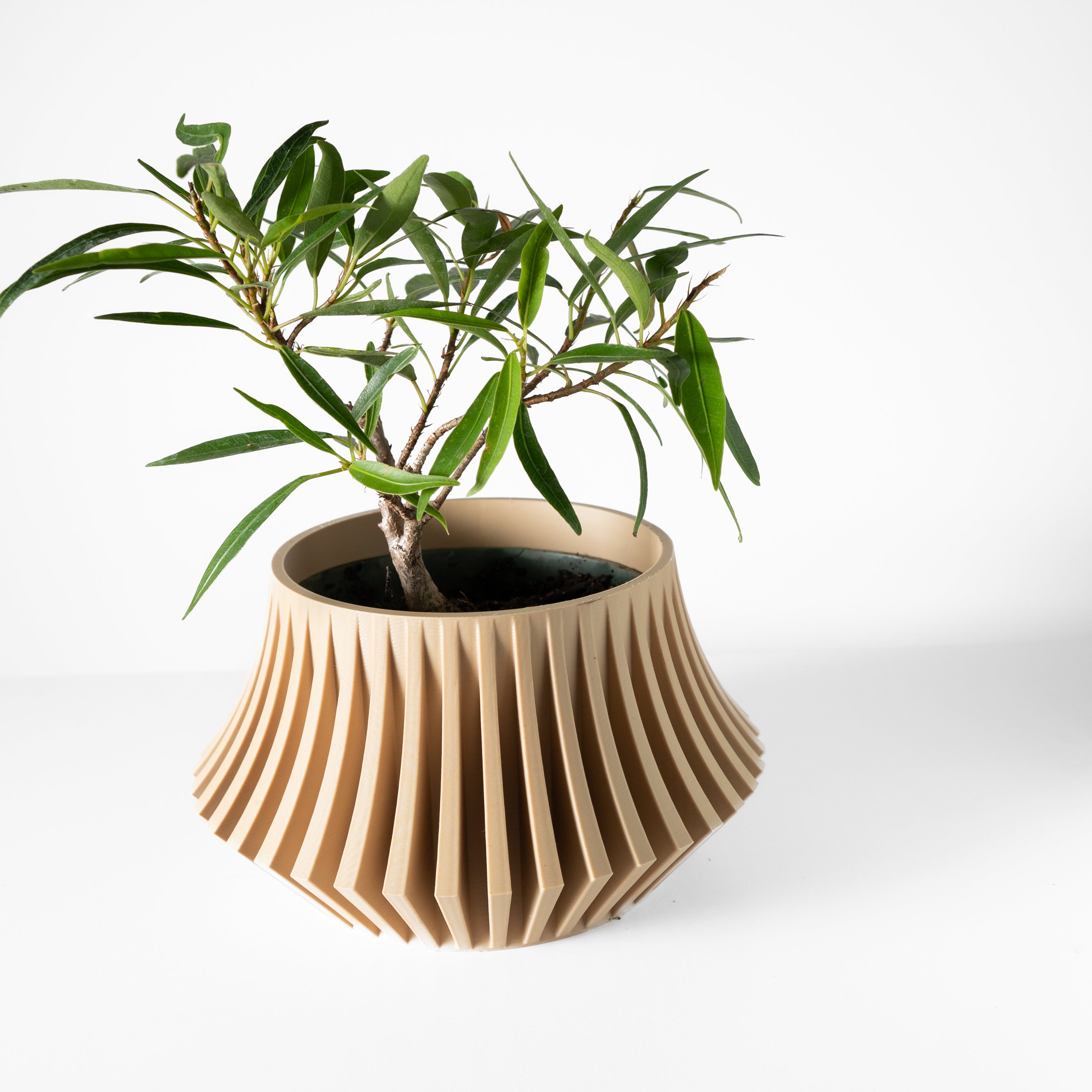 Jasen Planter