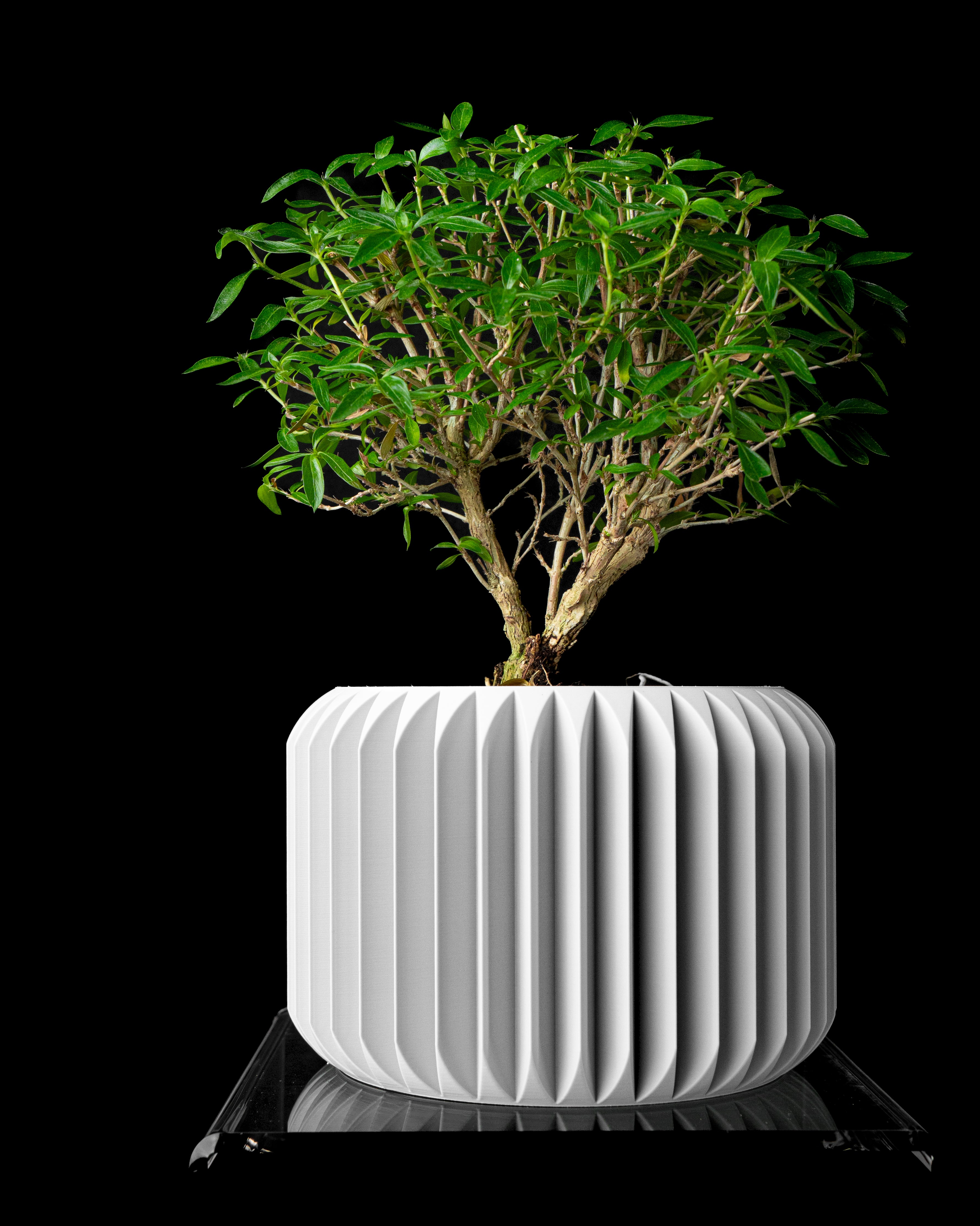 Nila Planter Pot