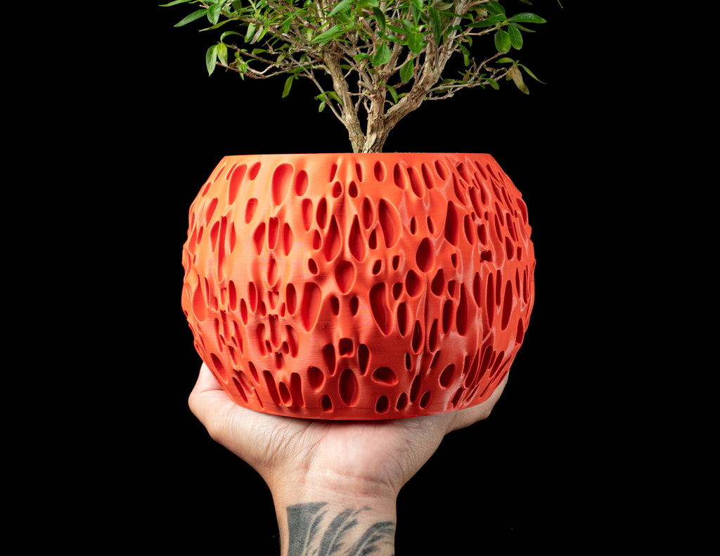Spotted Planter Pot